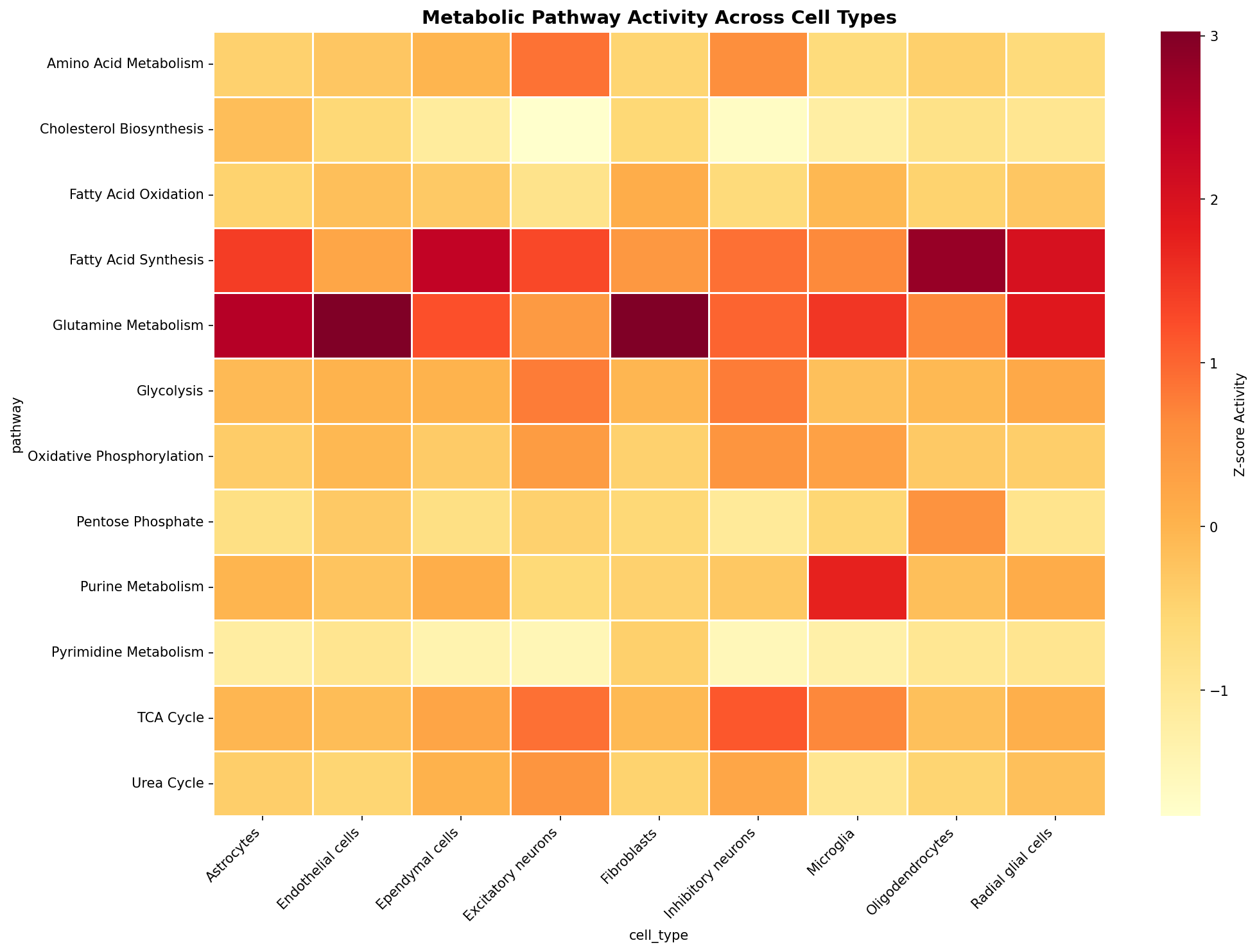 Metabolic Pathway Heatmap