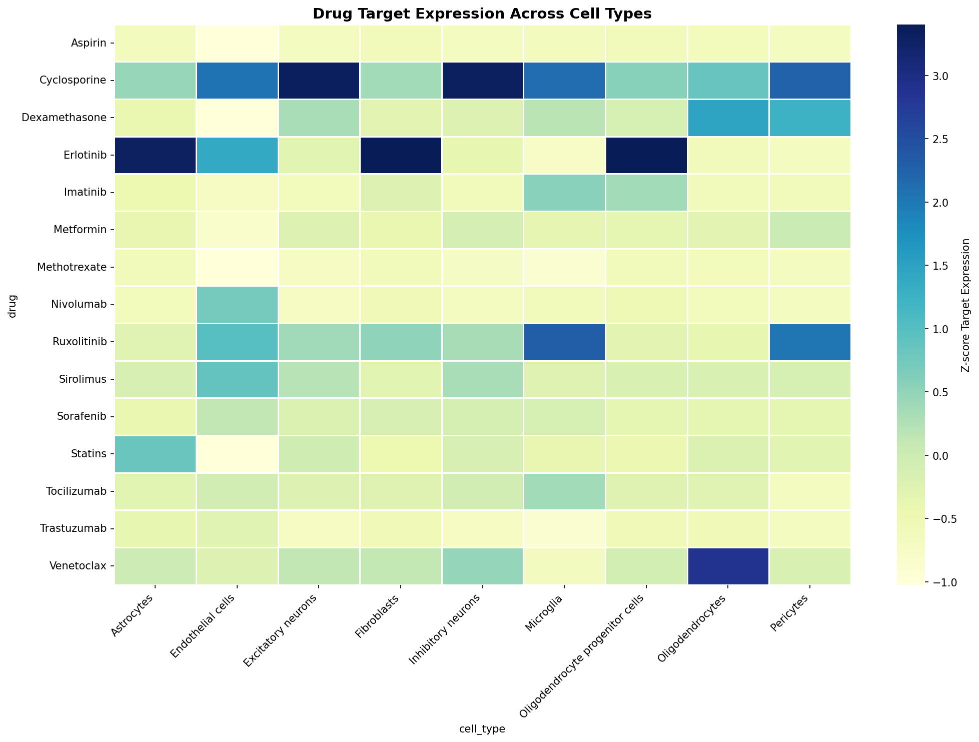 Drug Target Expression Heatmap