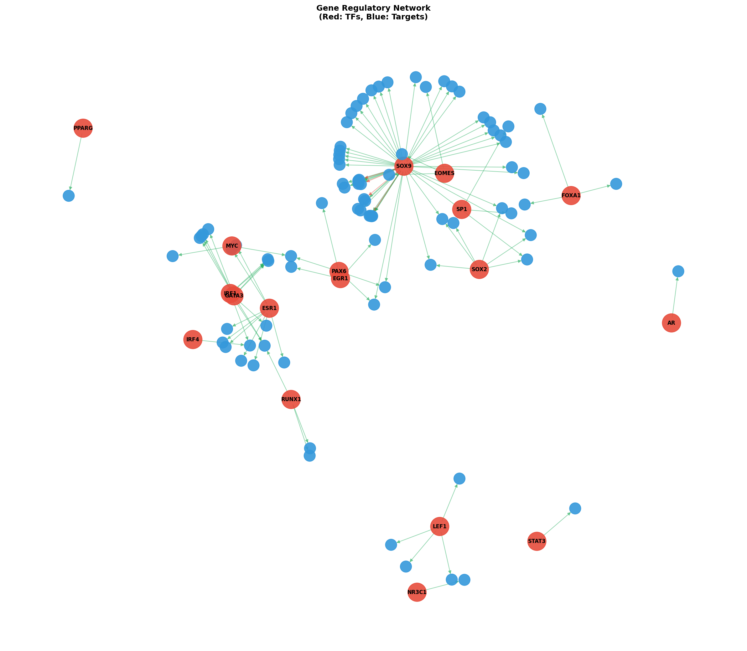 Exploratory TF-Target Association Network