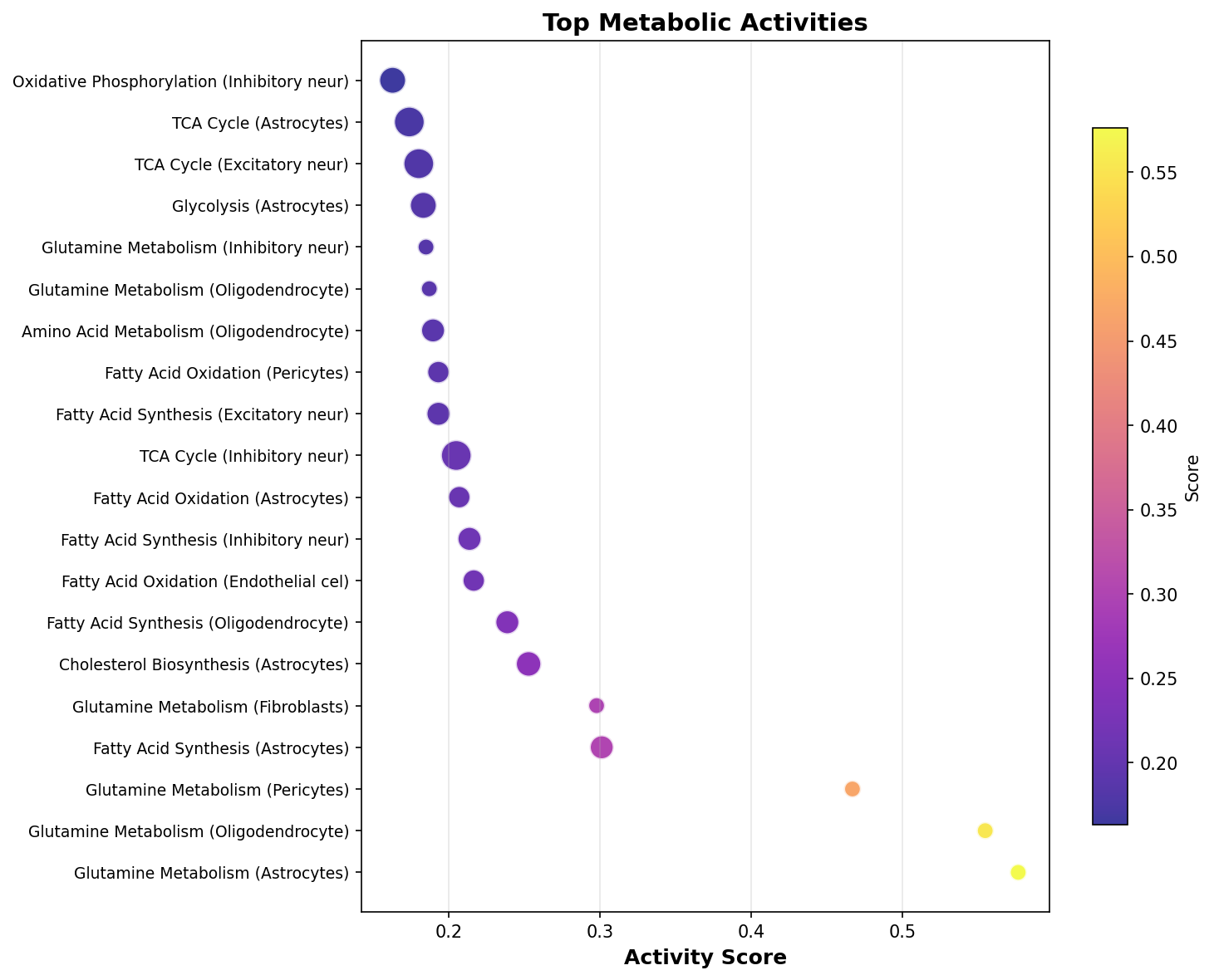 Top Metabolic Activities