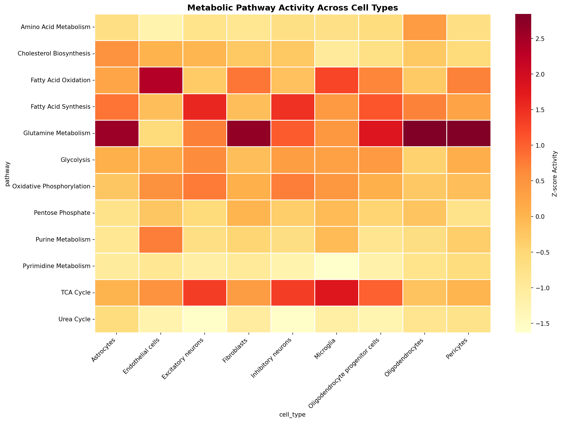 Metabolic Pathway Heatmap