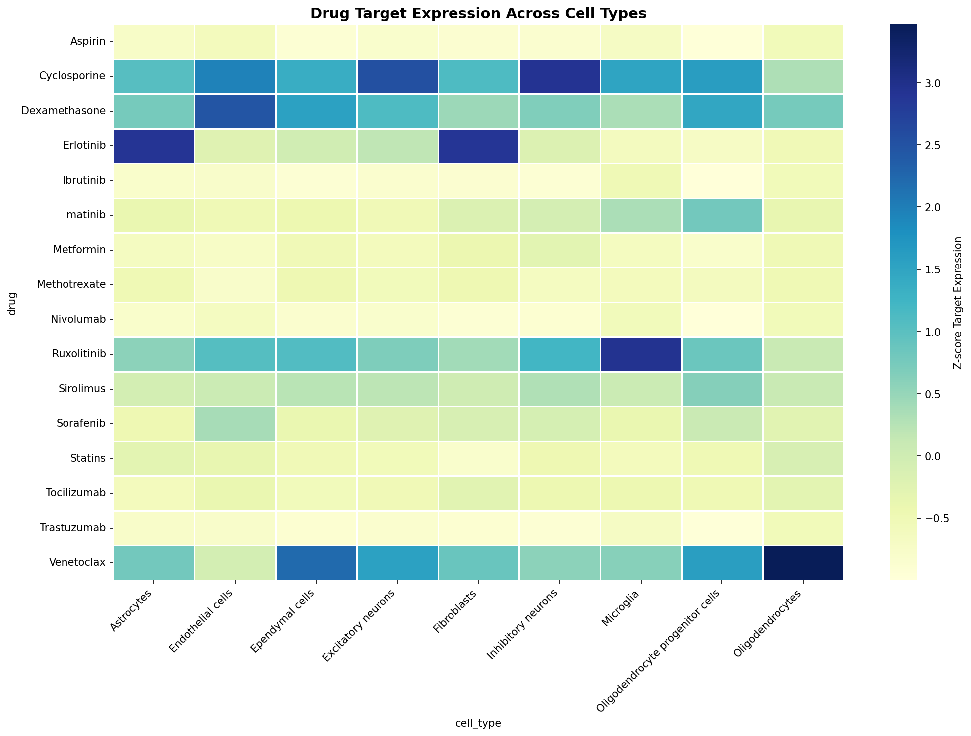 Drug Target Expression Heatmap