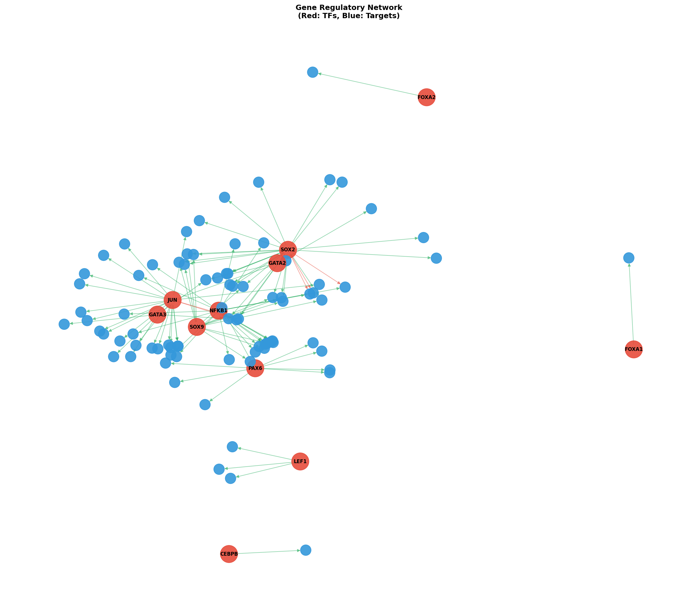 Exploratory TF-Target Association Network
