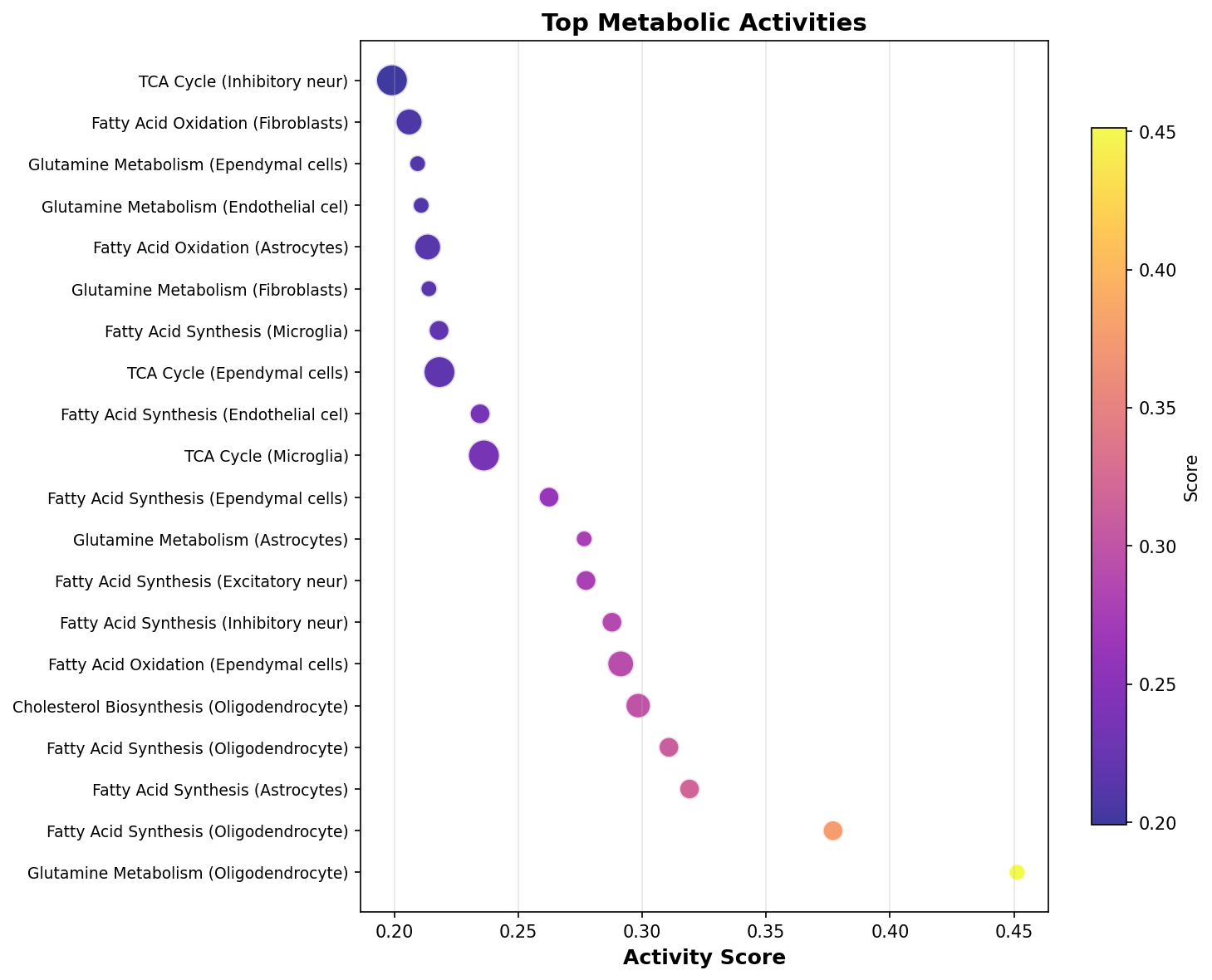 Top Metabolic Activities