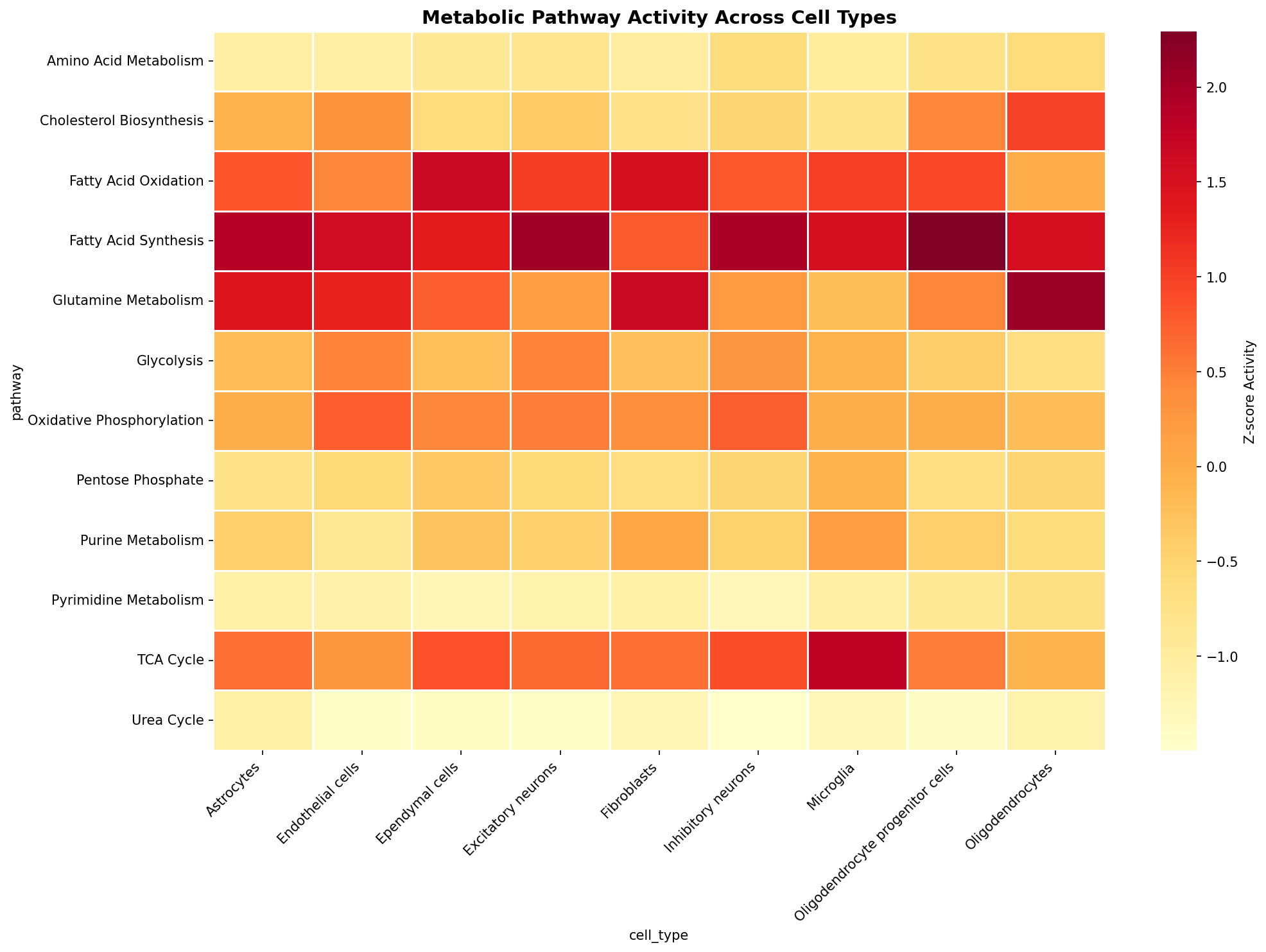 Metabolic Pathway Heatmap