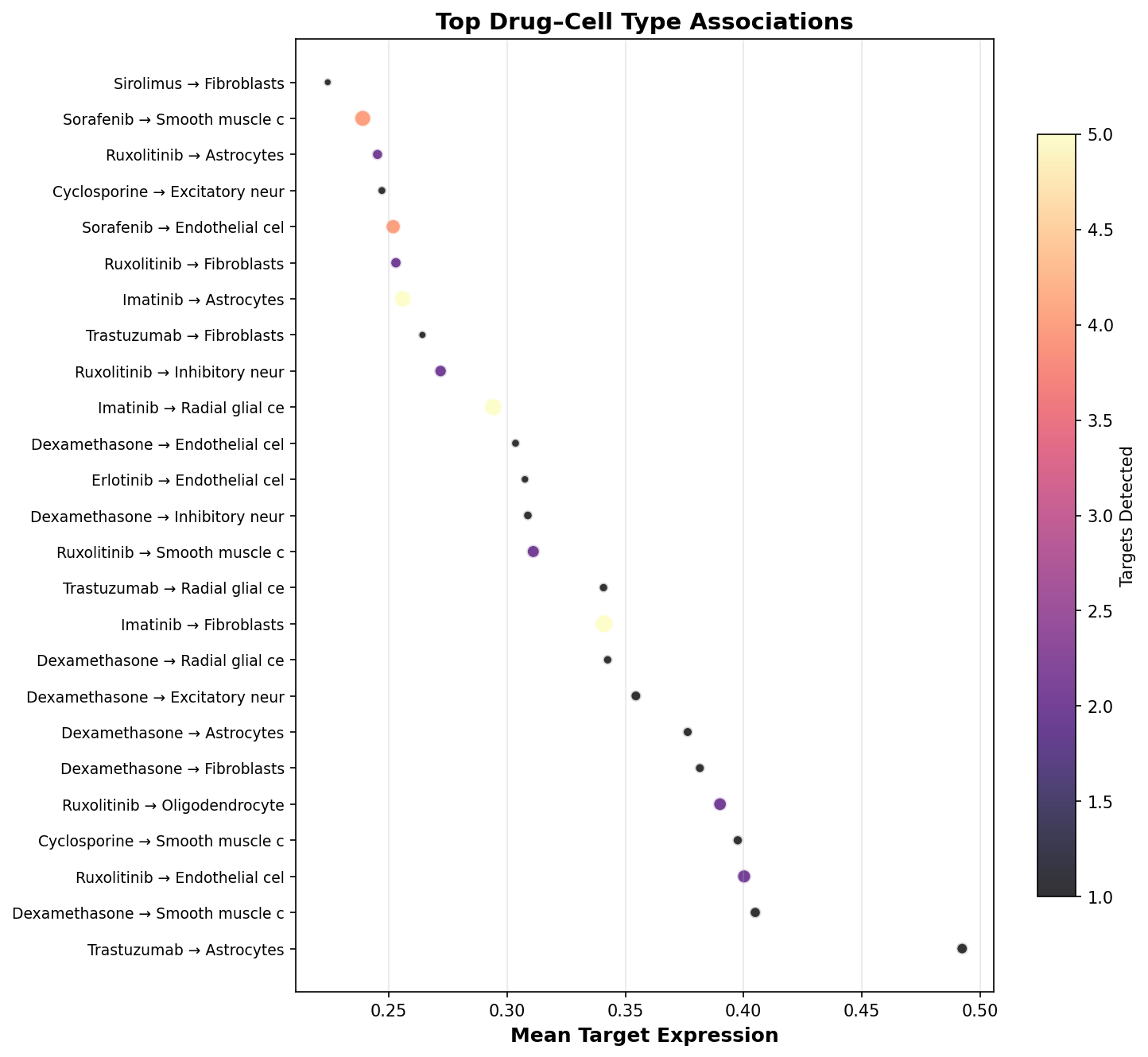 Top Drug–Cell Type Associations