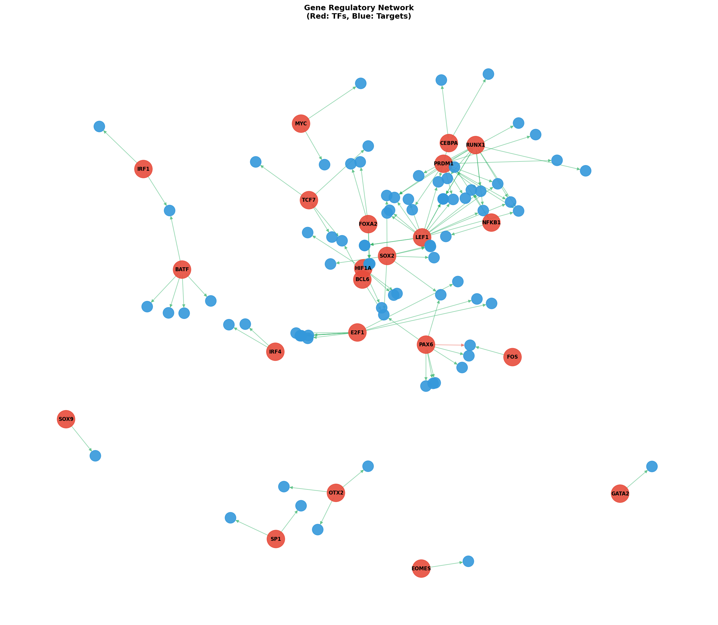 Exploratory TF-Target Association Network