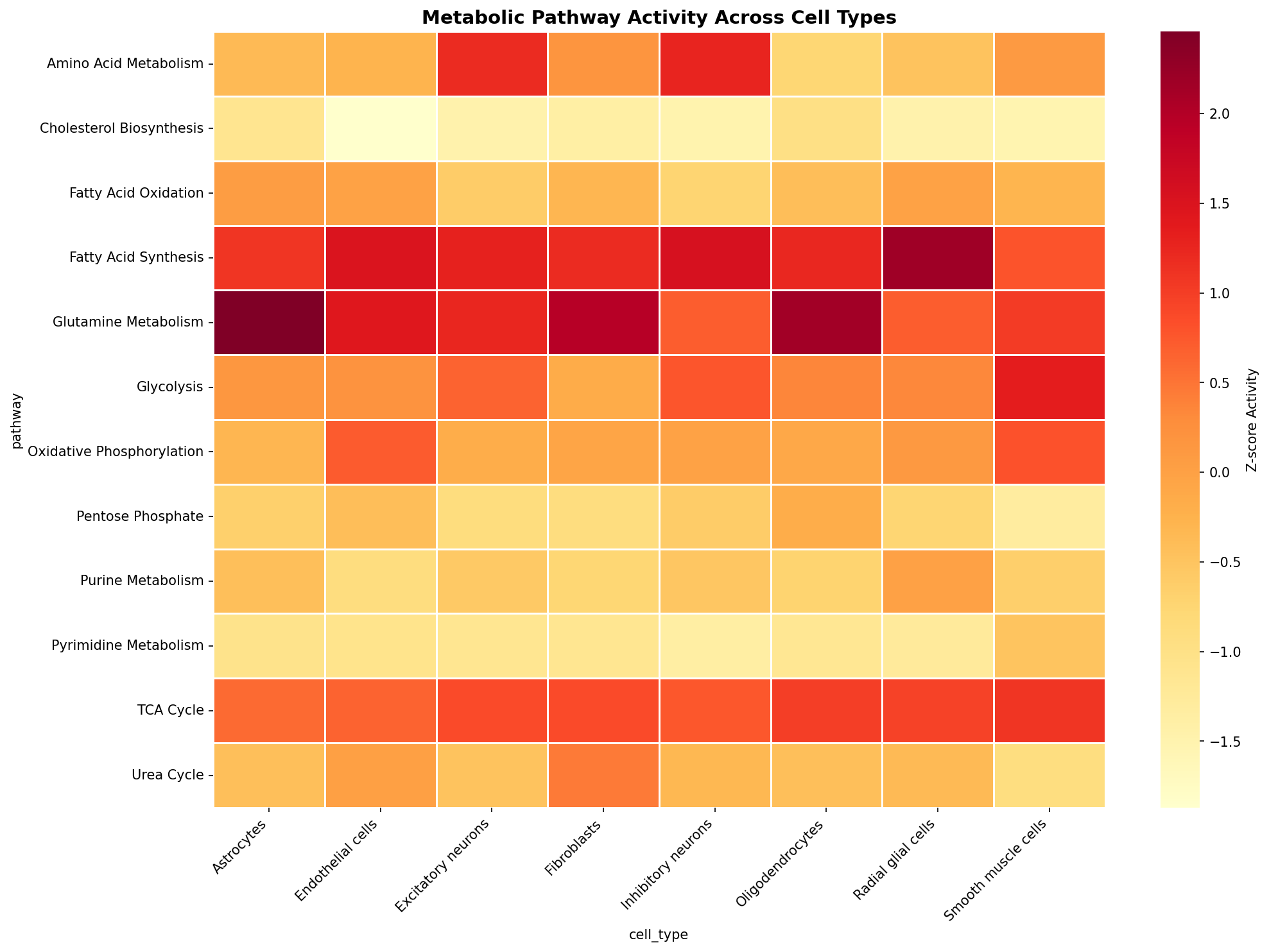 Metabolic Pathway Heatmap