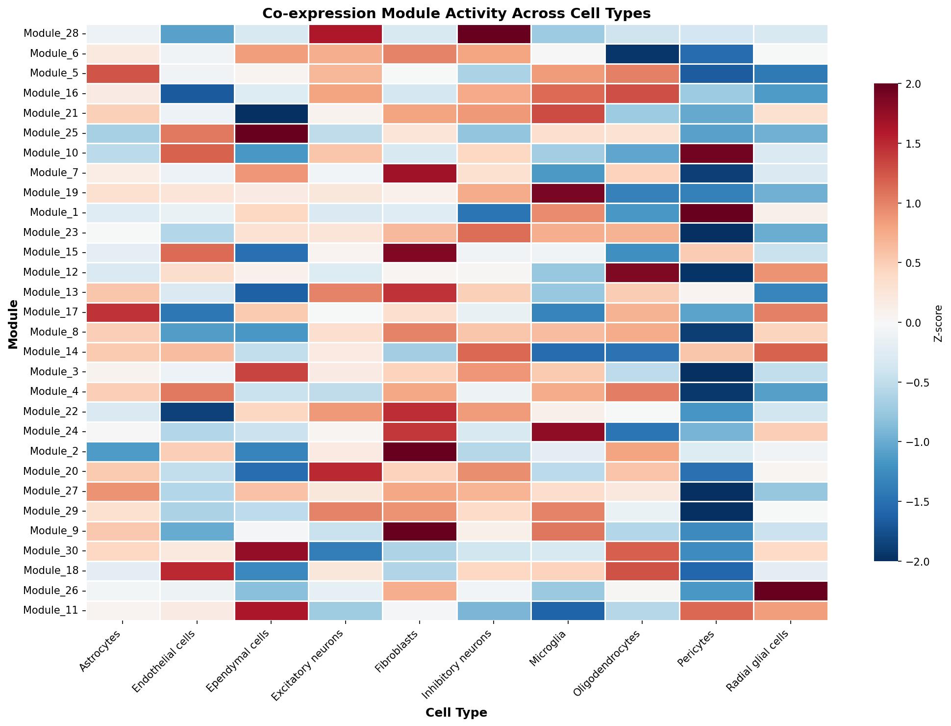 Module-Cell Type Association