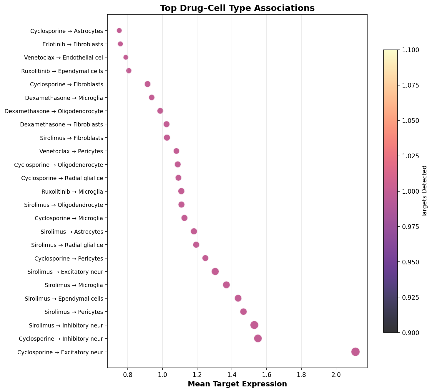 Top Drug–Cell Type Associations