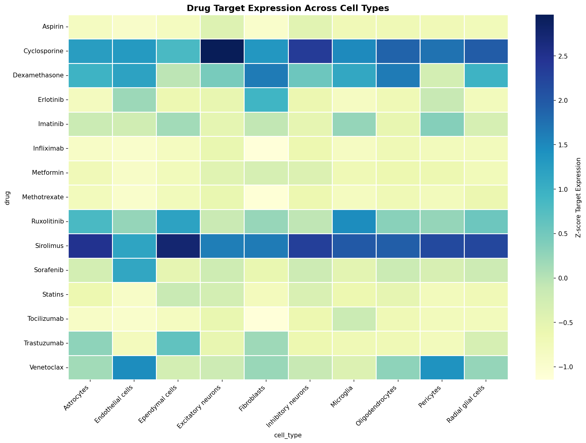 Drug Target Expression Heatmap