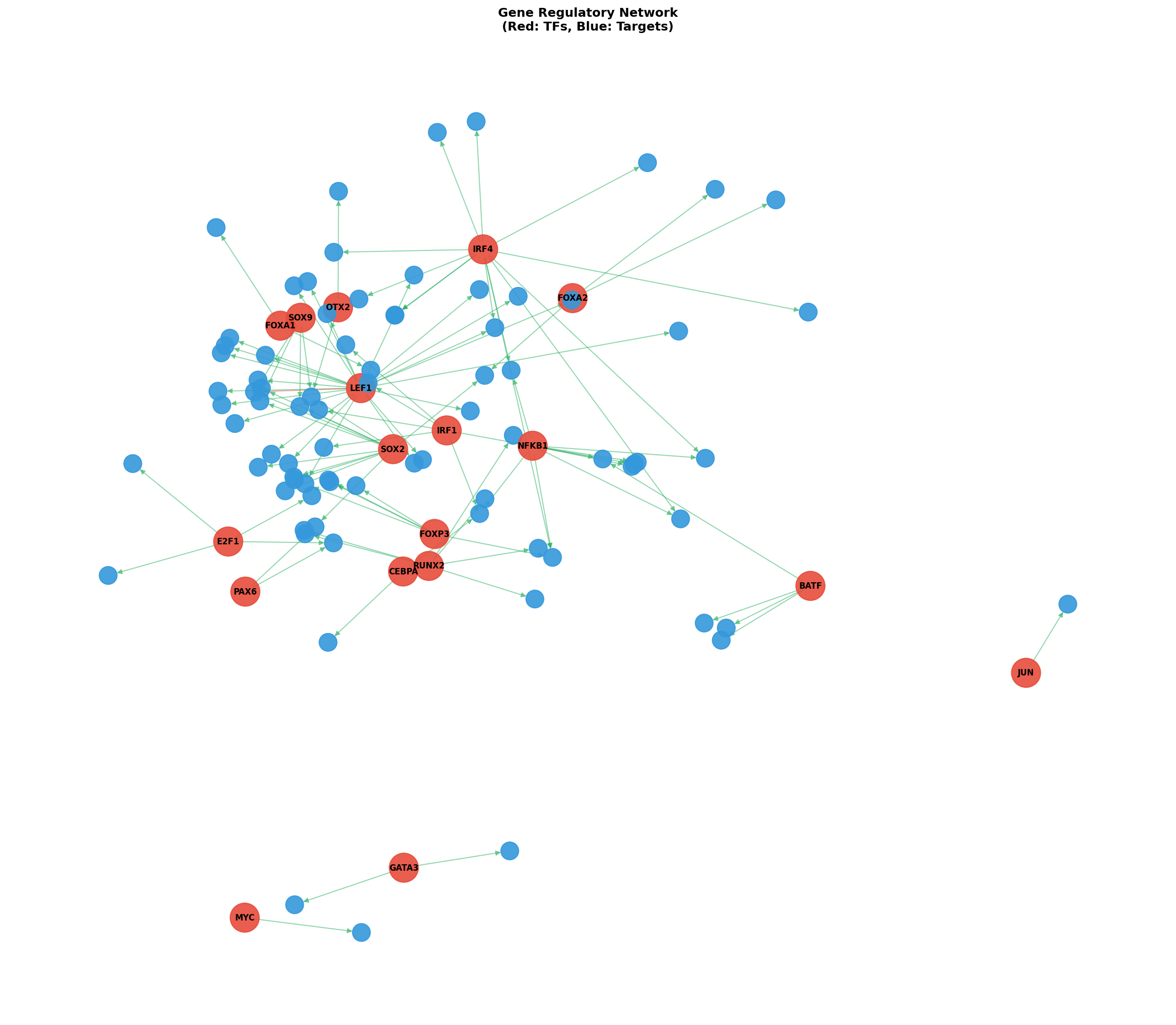 Exploratory TF-Target Association Network
