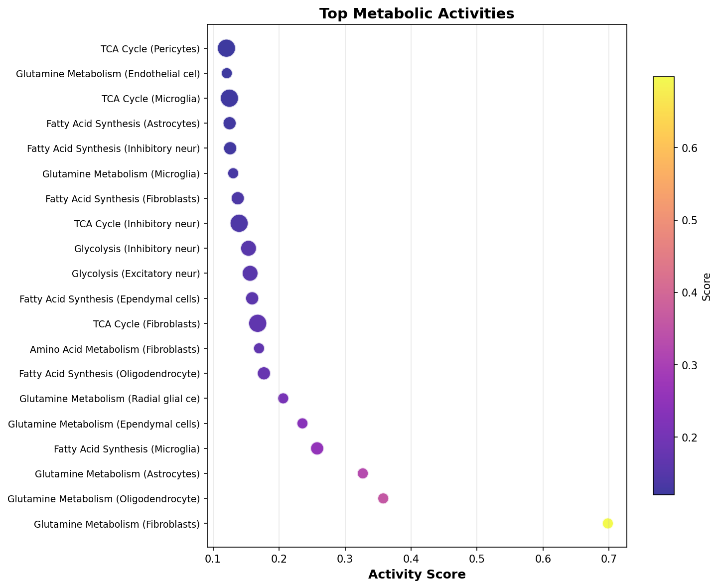 Top Metabolic Activities