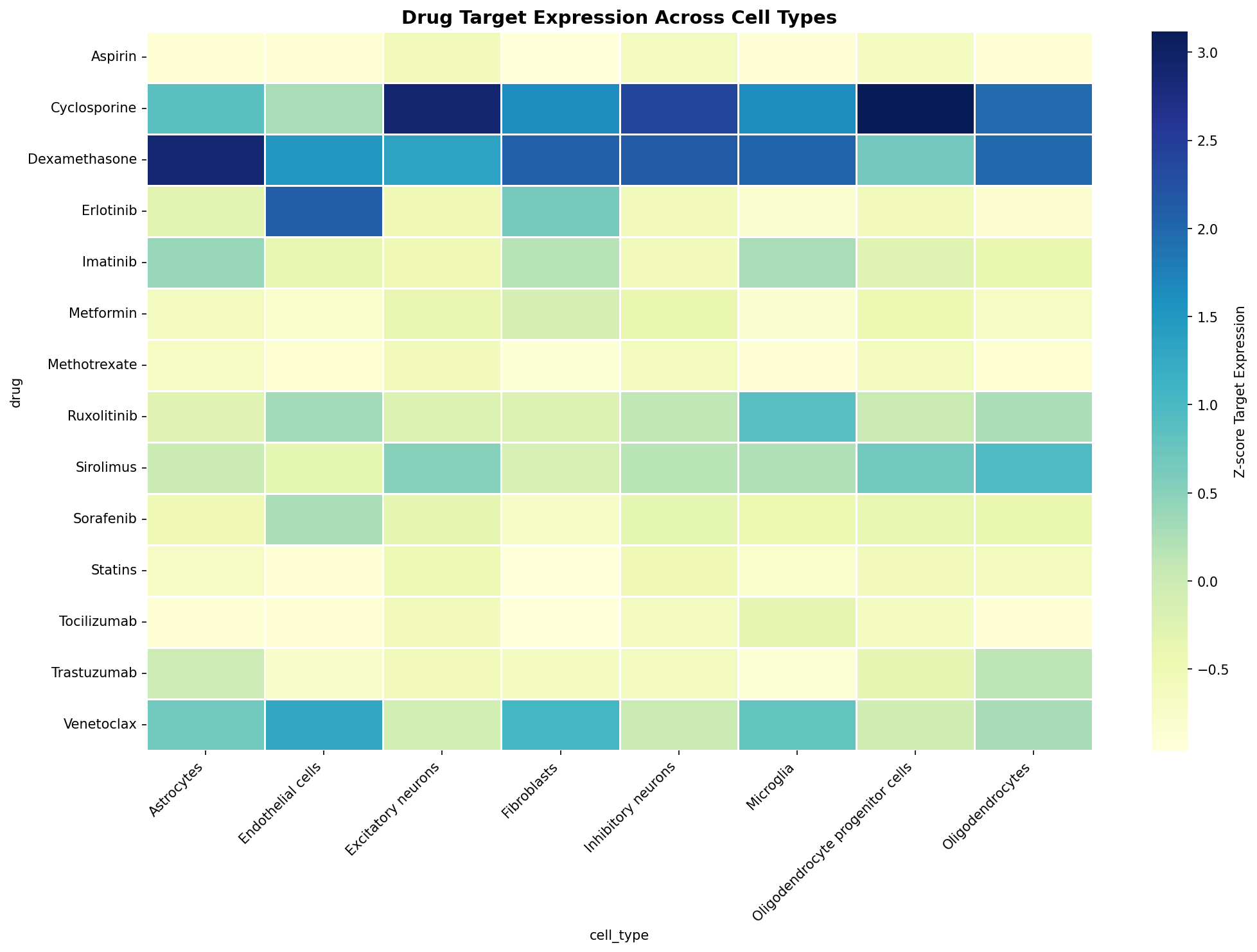 Drug Target Expression Heatmap