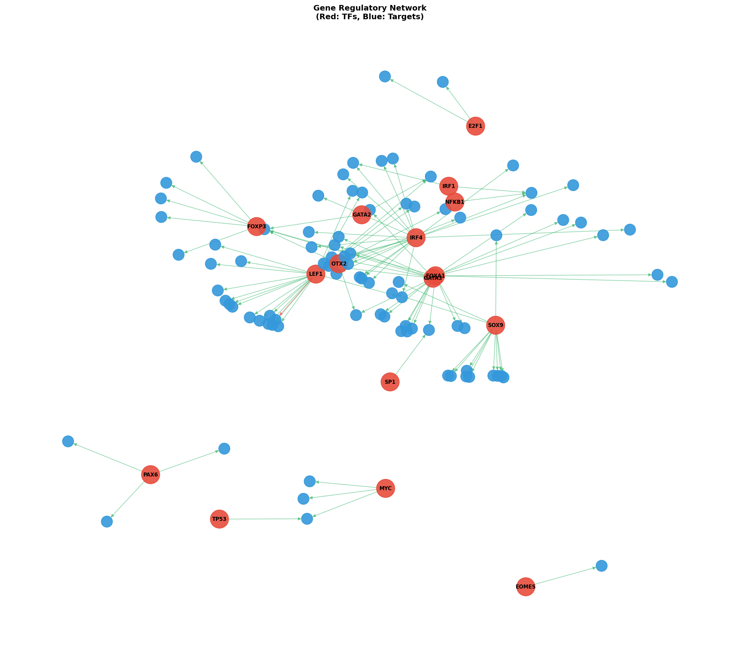 Exploratory TF-Target Association Network