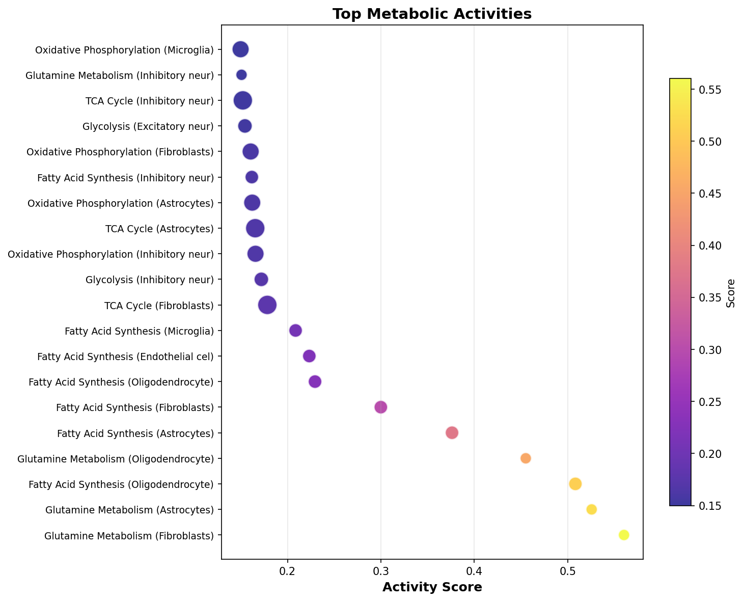 Top Metabolic Activities