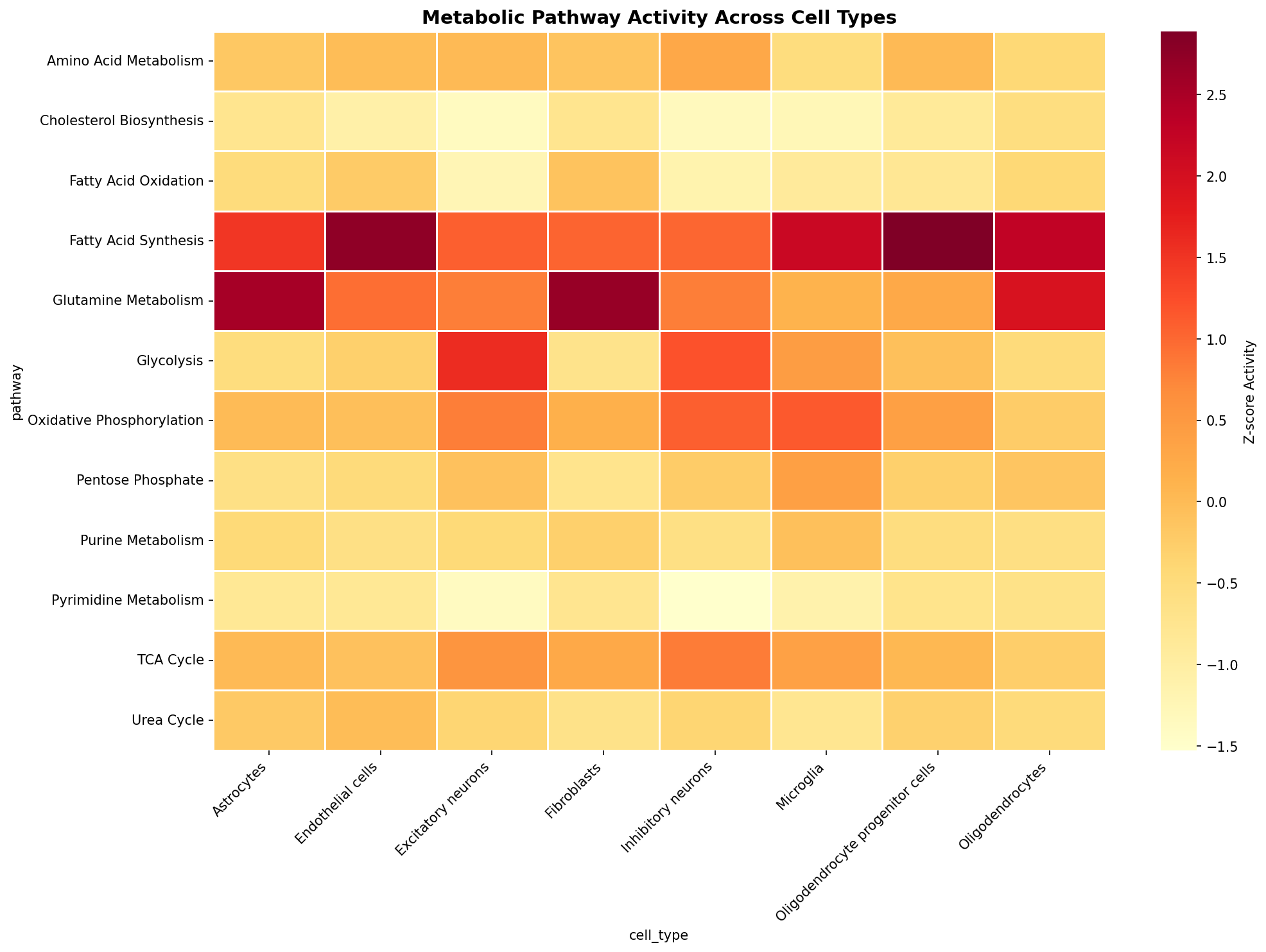Metabolic Pathway Heatmap
