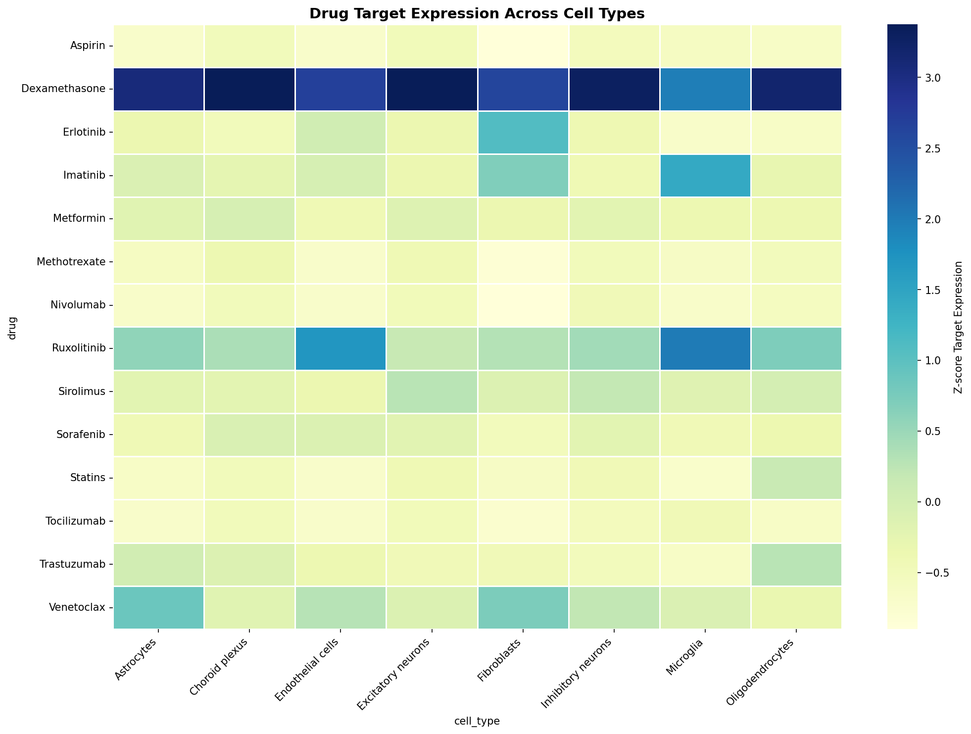 Drug Target Expression Heatmap