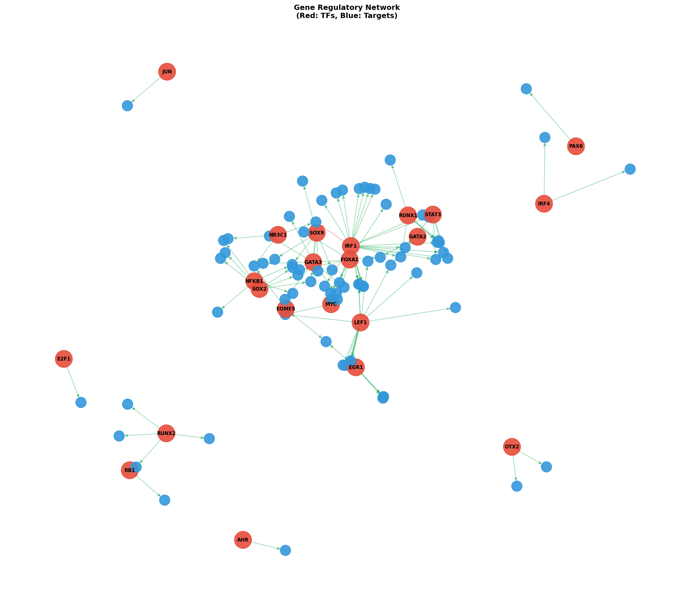 Exploratory TF-Target Association Network