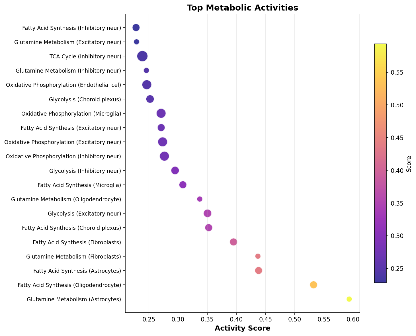 Top Metabolic Activities