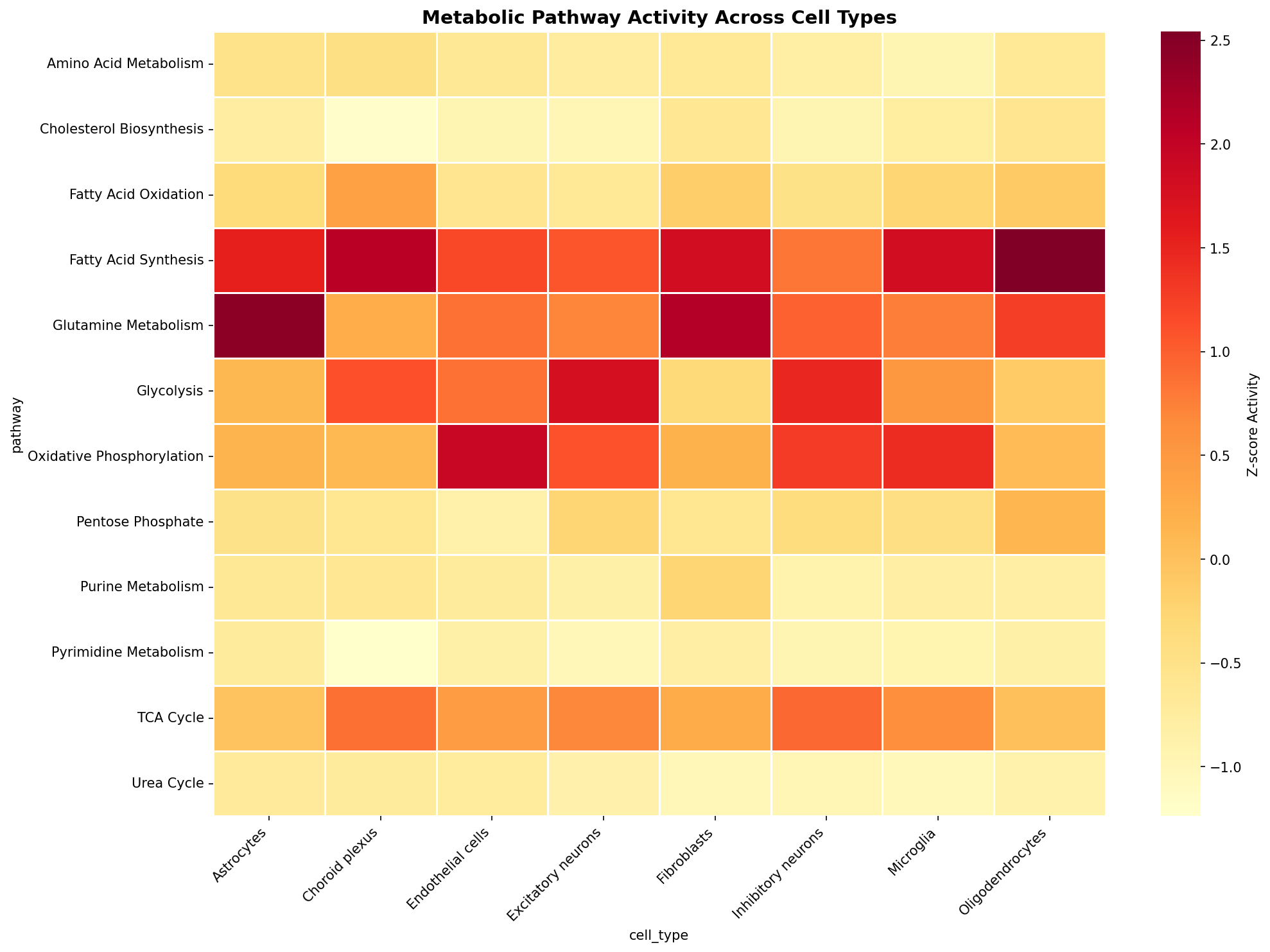 Metabolic Pathway Heatmap