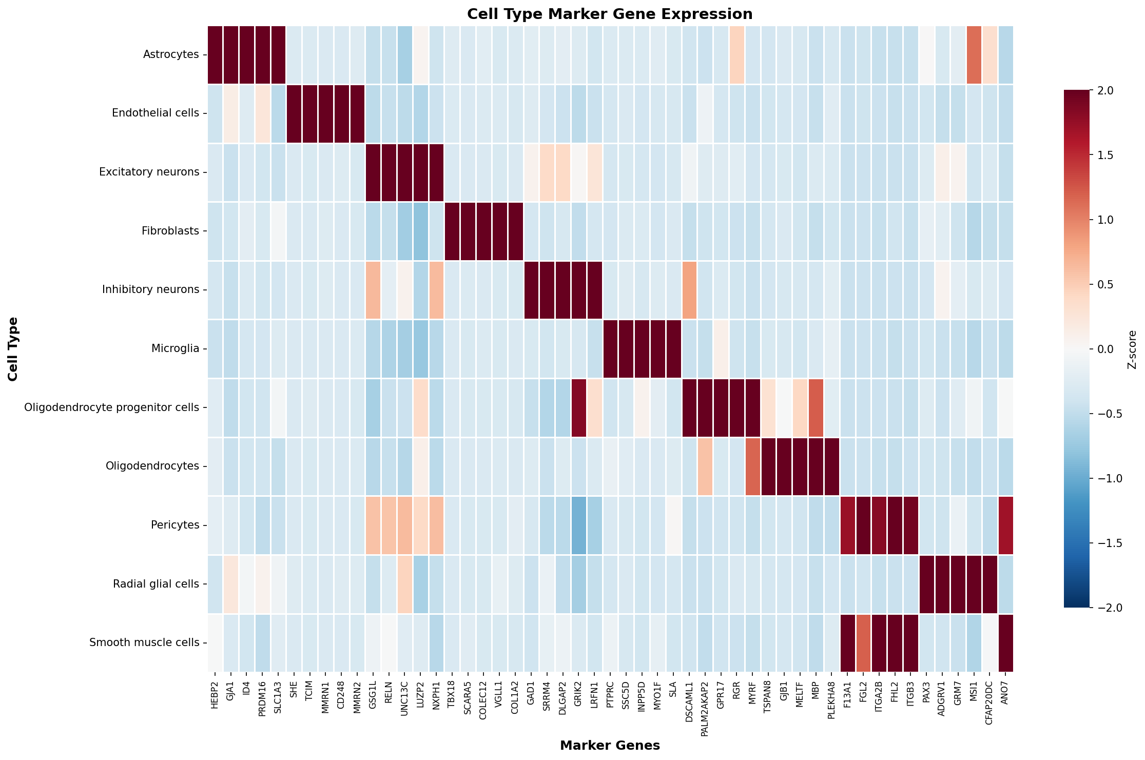 Marker Gene Heatmap