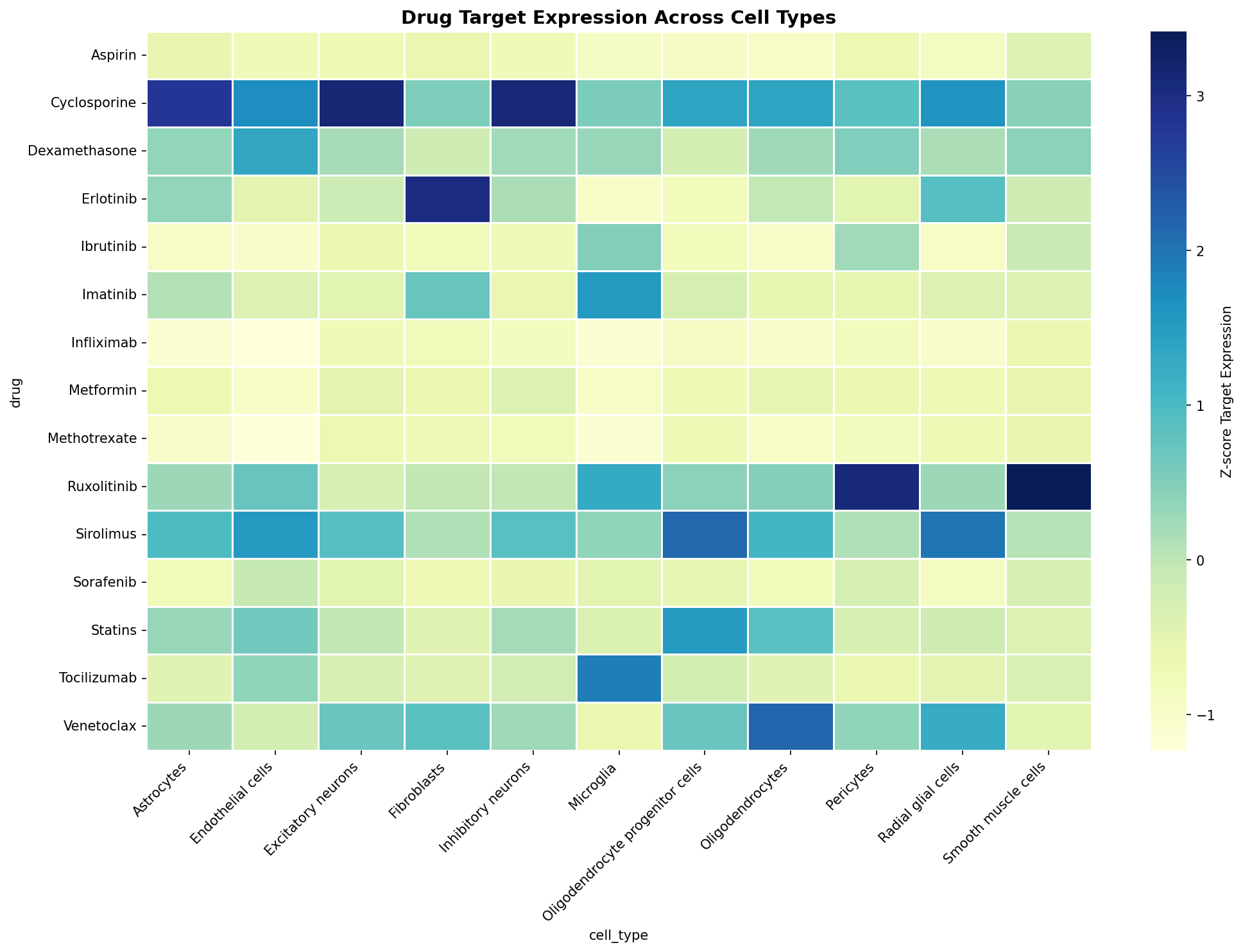Drug Target Expression Heatmap