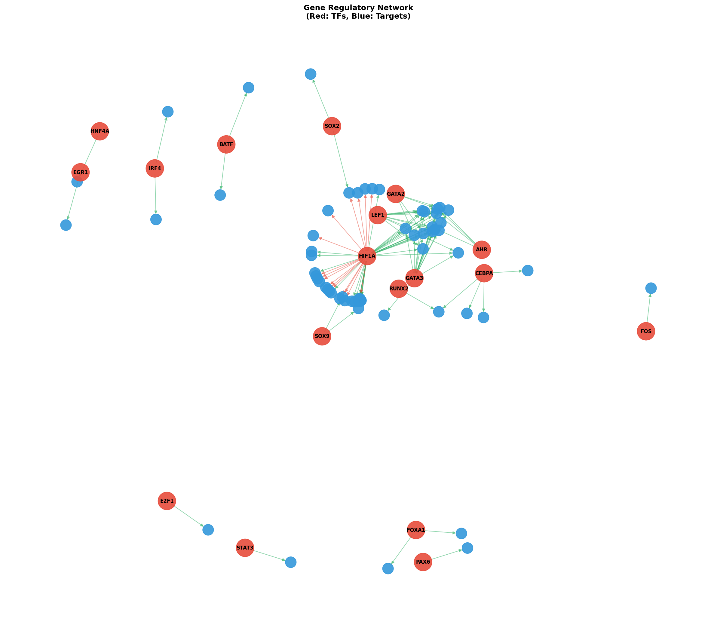 Exploratory TF-Target Association Network