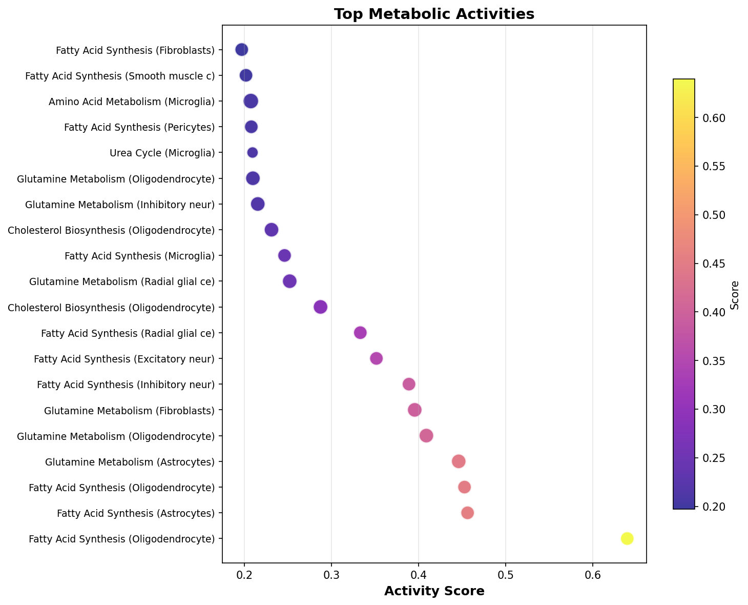 Top Metabolic Activities