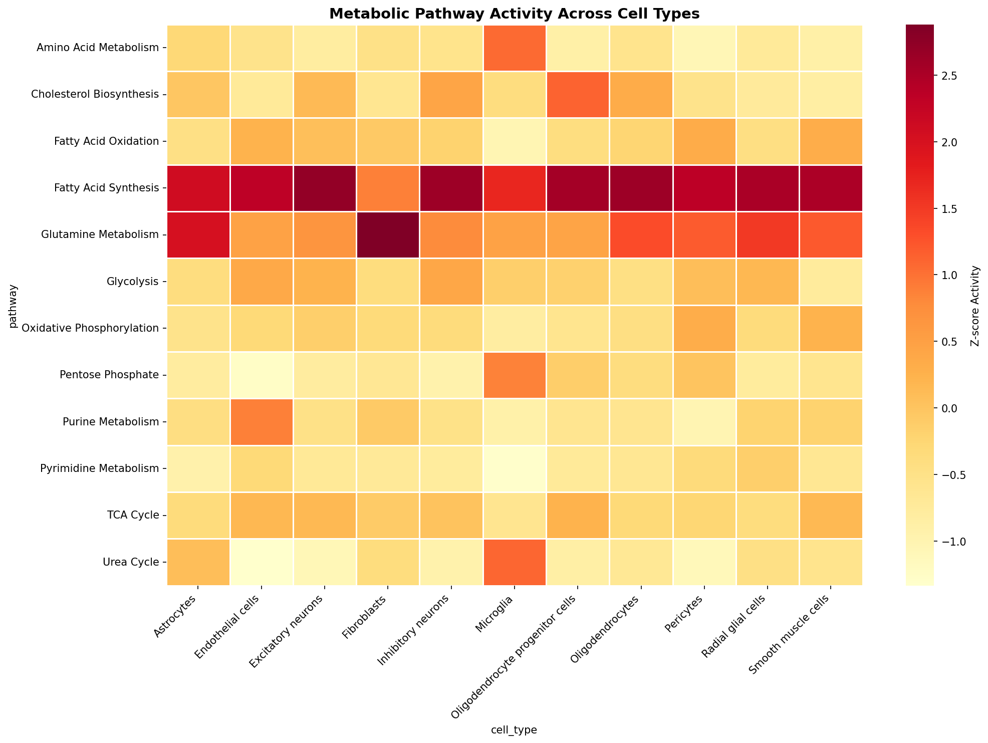 Metabolic Pathway Heatmap