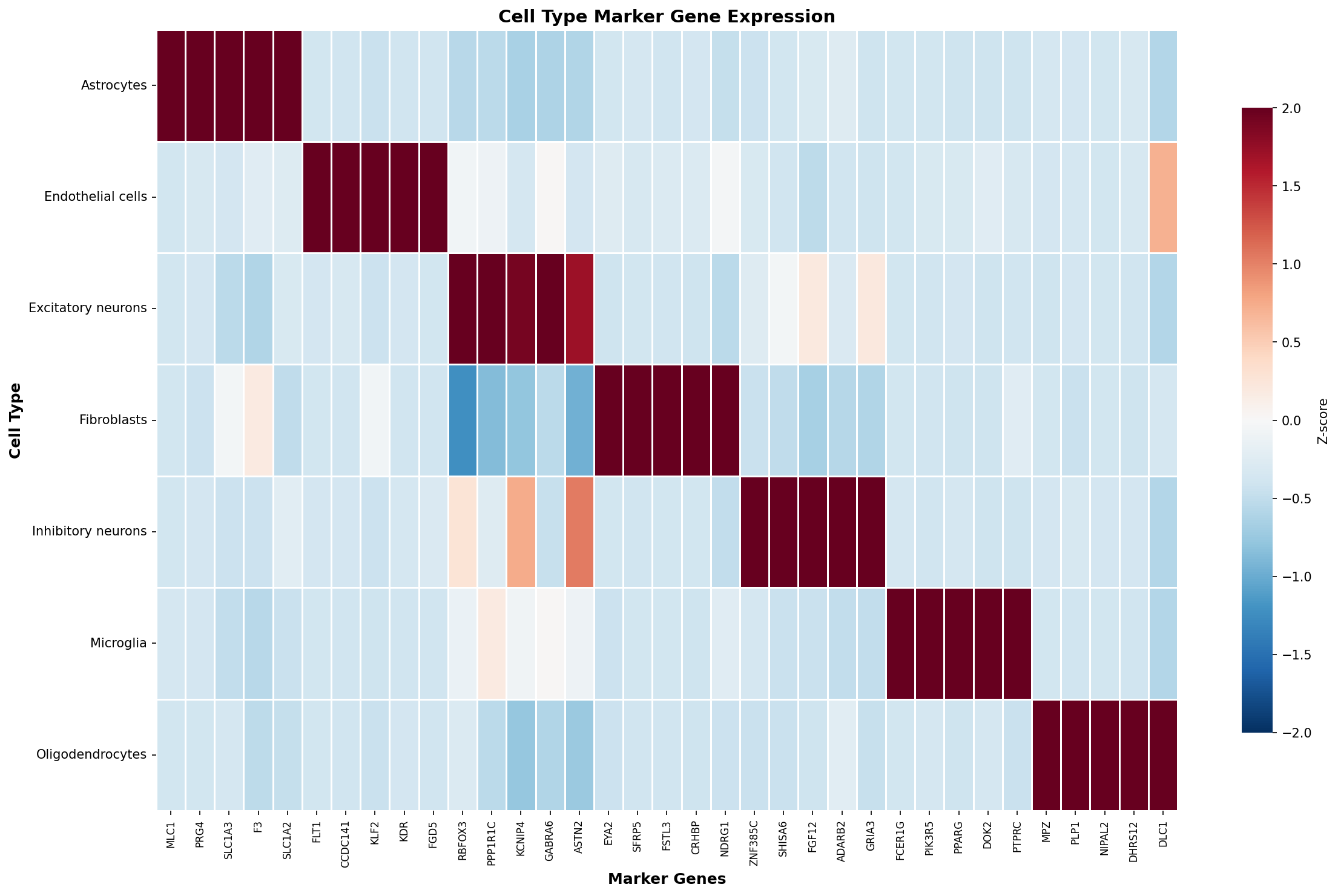 Marker Gene Heatmap
