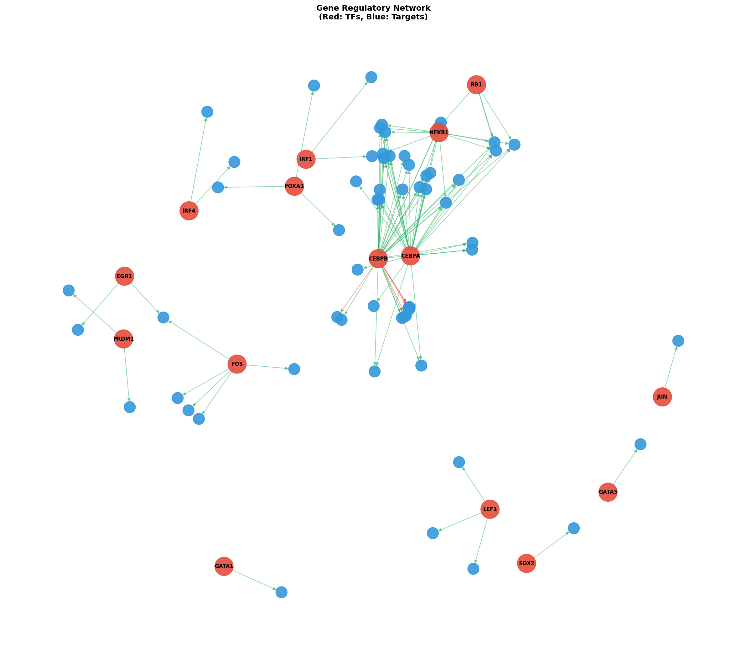 Exploratory TF-Target Association Network