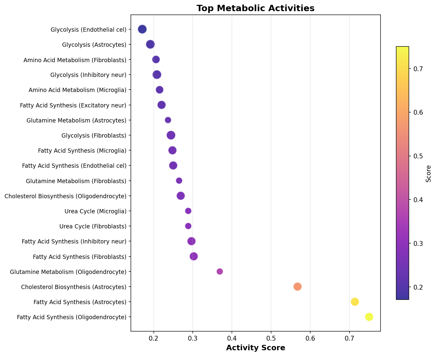 Top Metabolic Activities