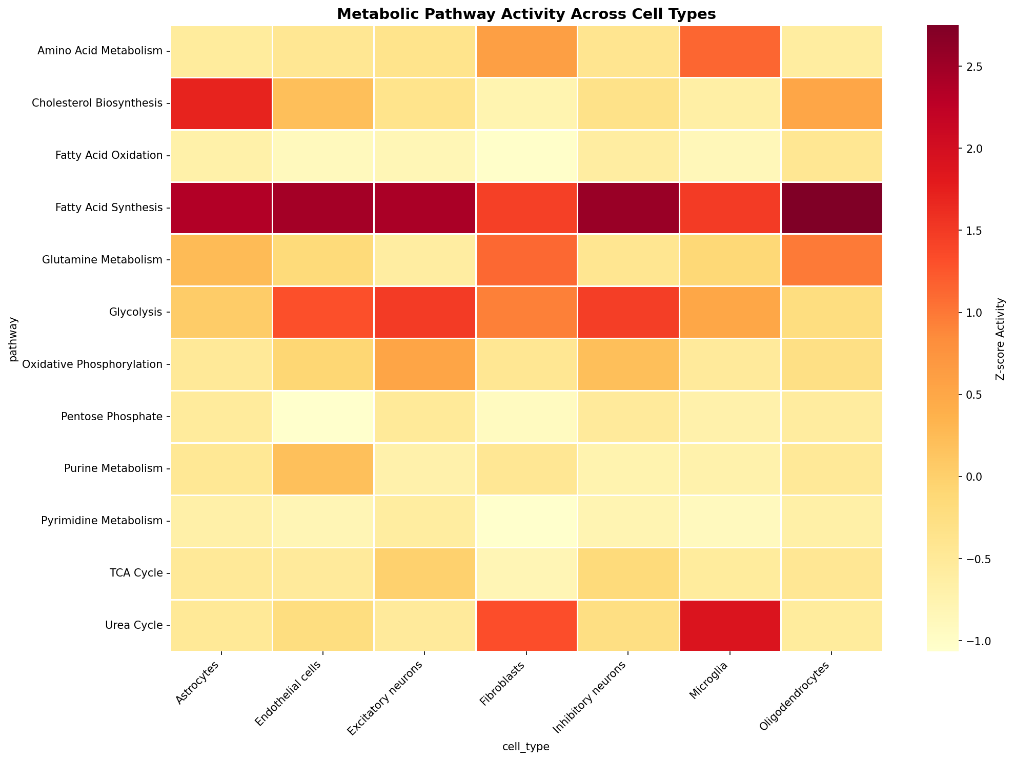 Metabolic Pathway Heatmap