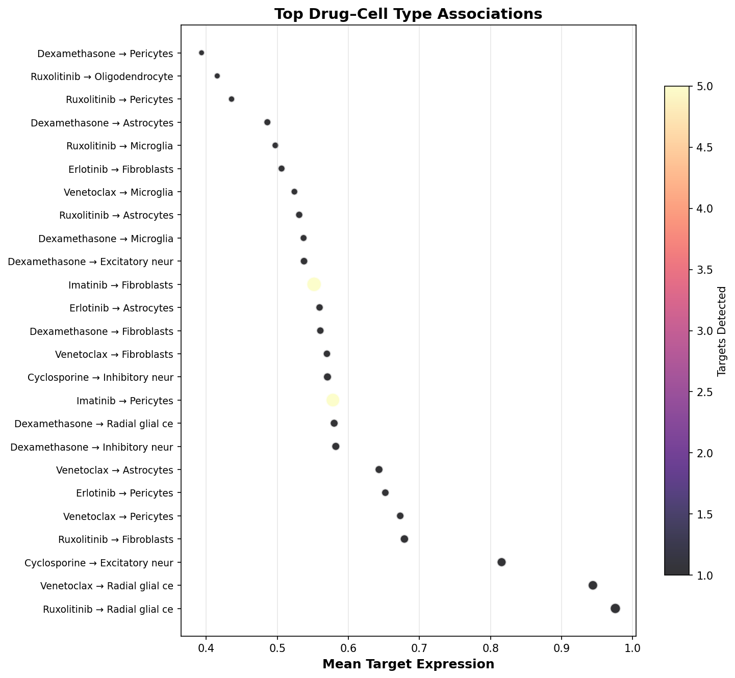 Top Drug–Cell Type Associations