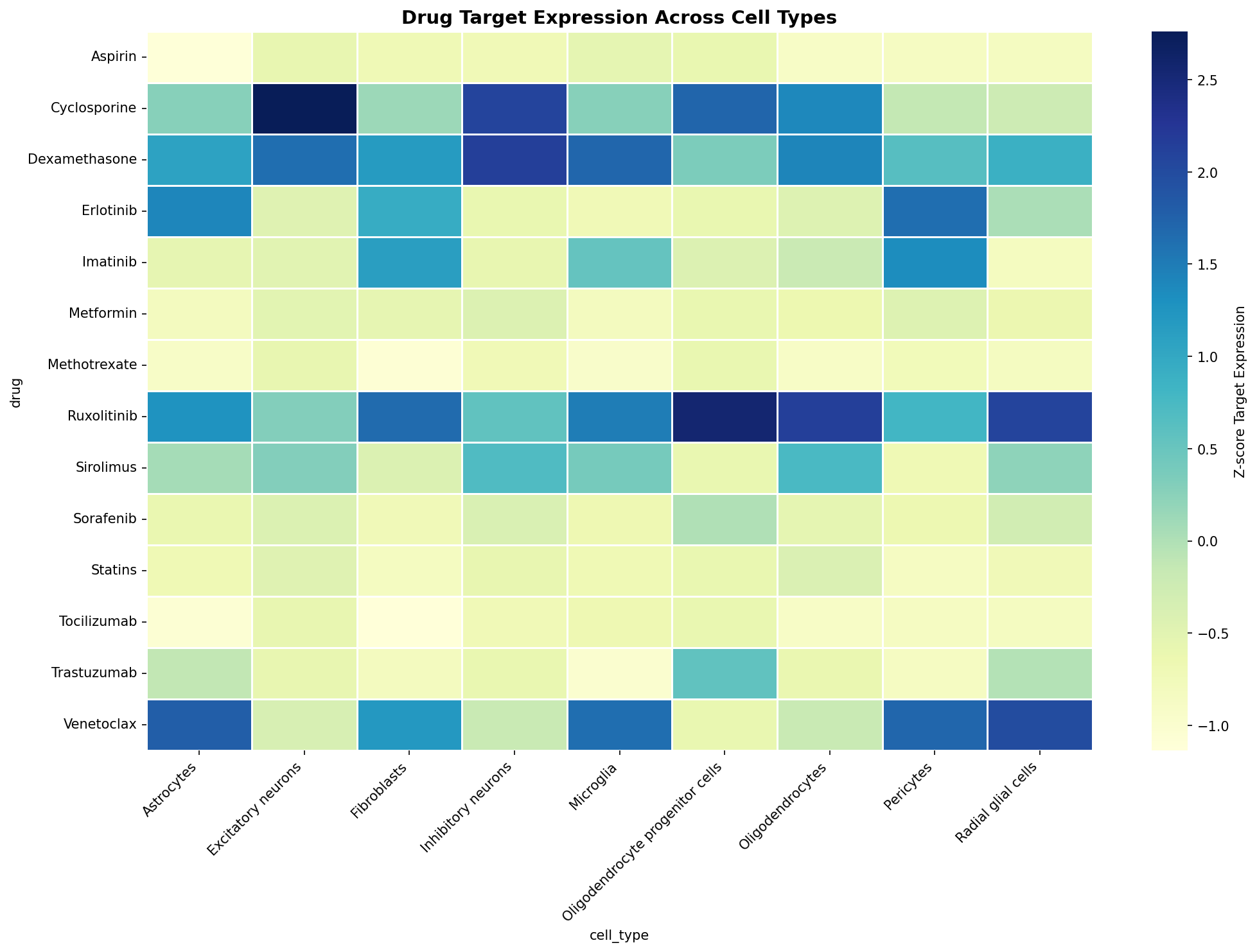 Drug Target Expression Heatmap