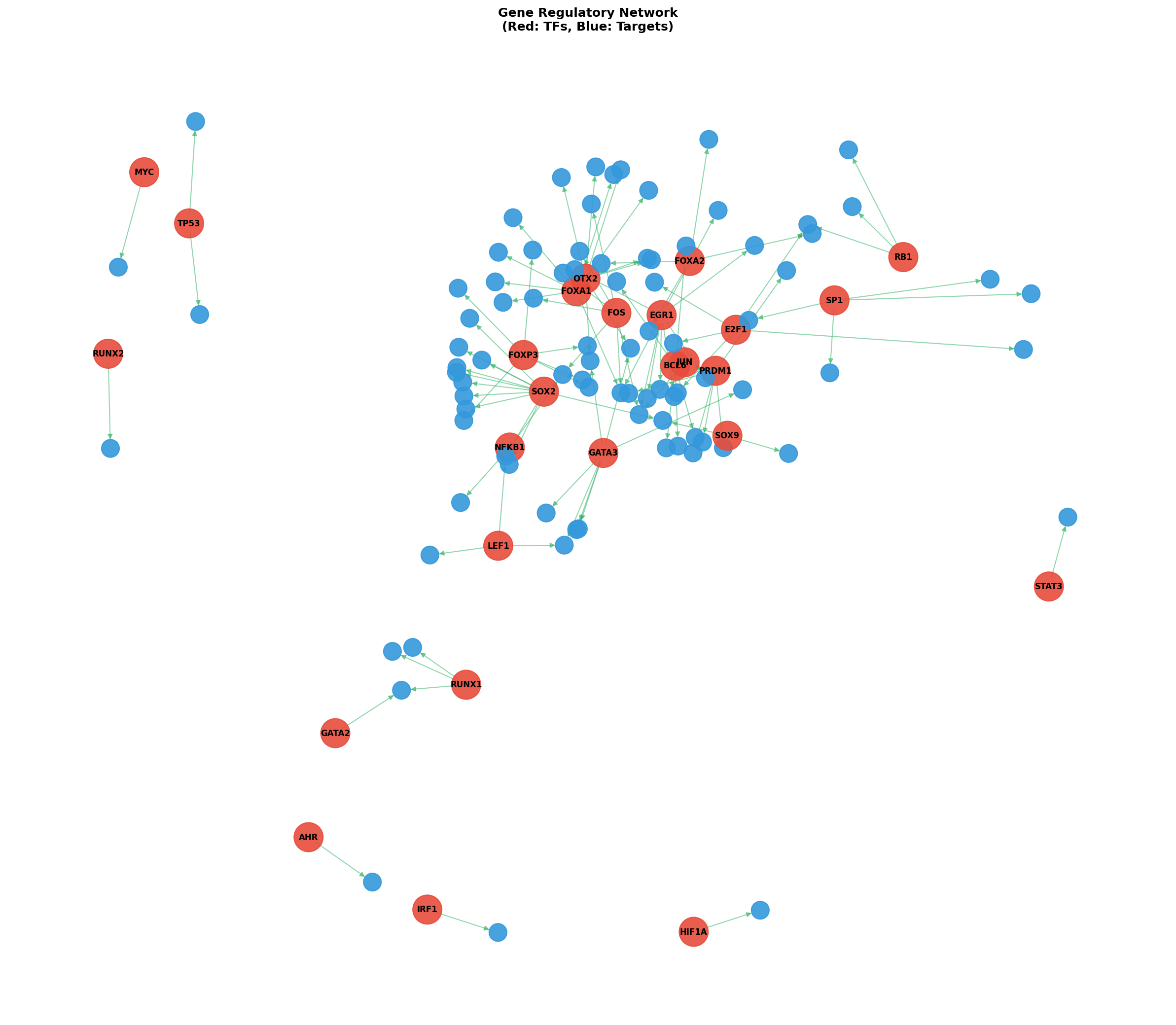 Exploratory TF-Target Association Network