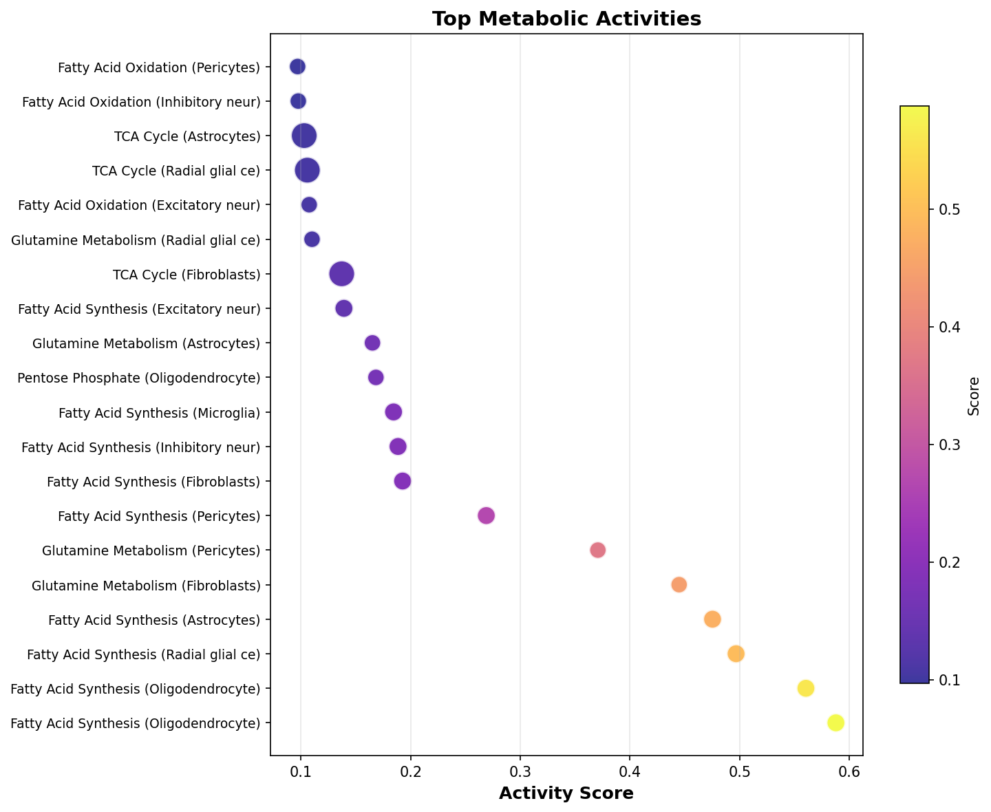 Top Metabolic Activities