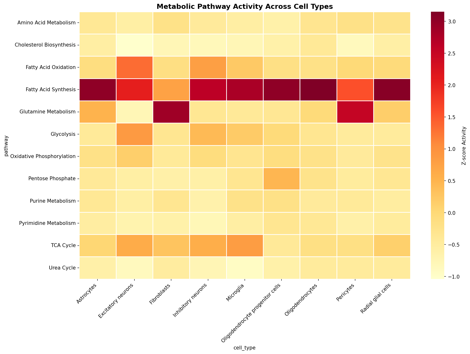 Metabolic Pathway Heatmap