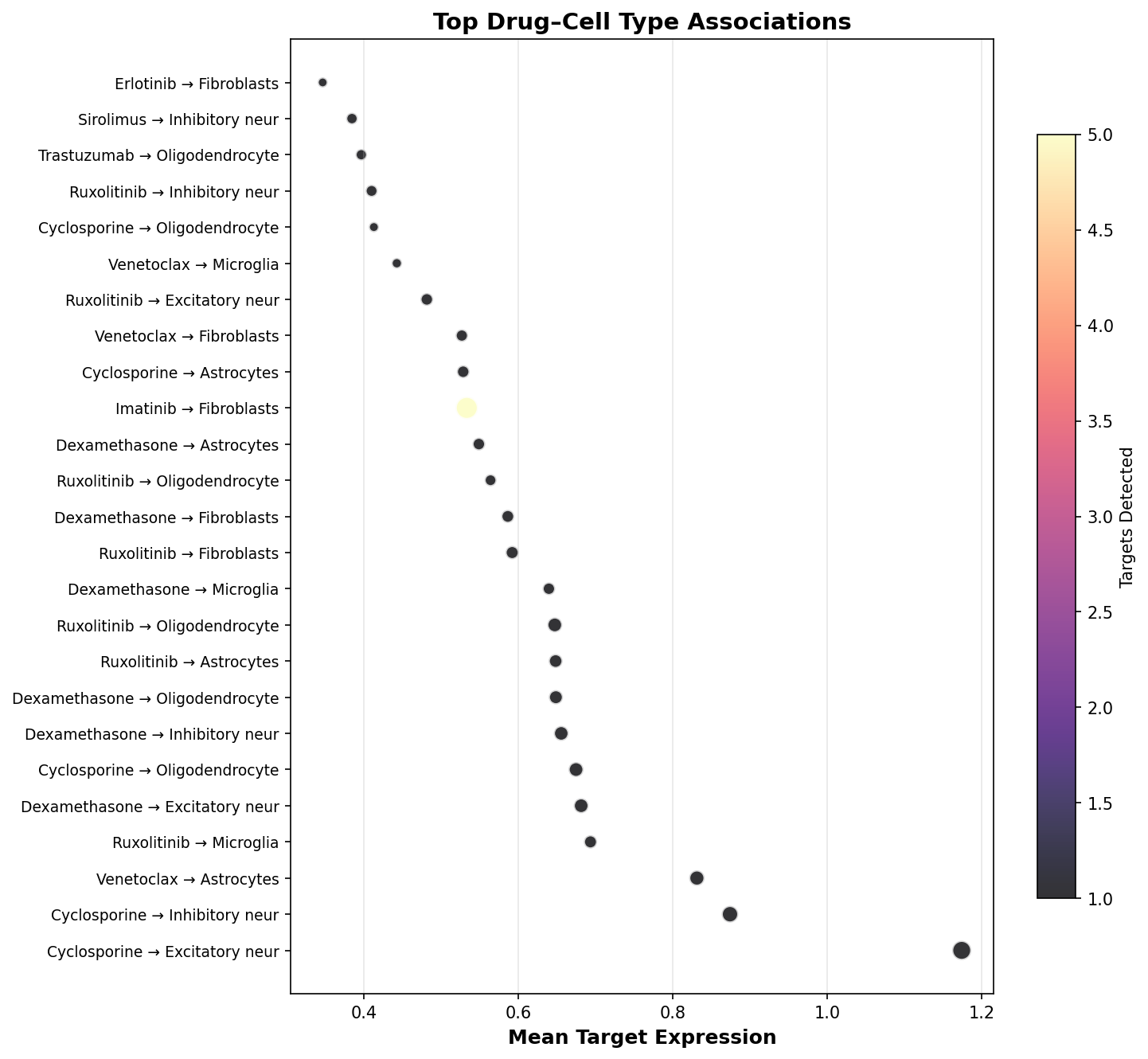 Top Drug–Cell Type Associations