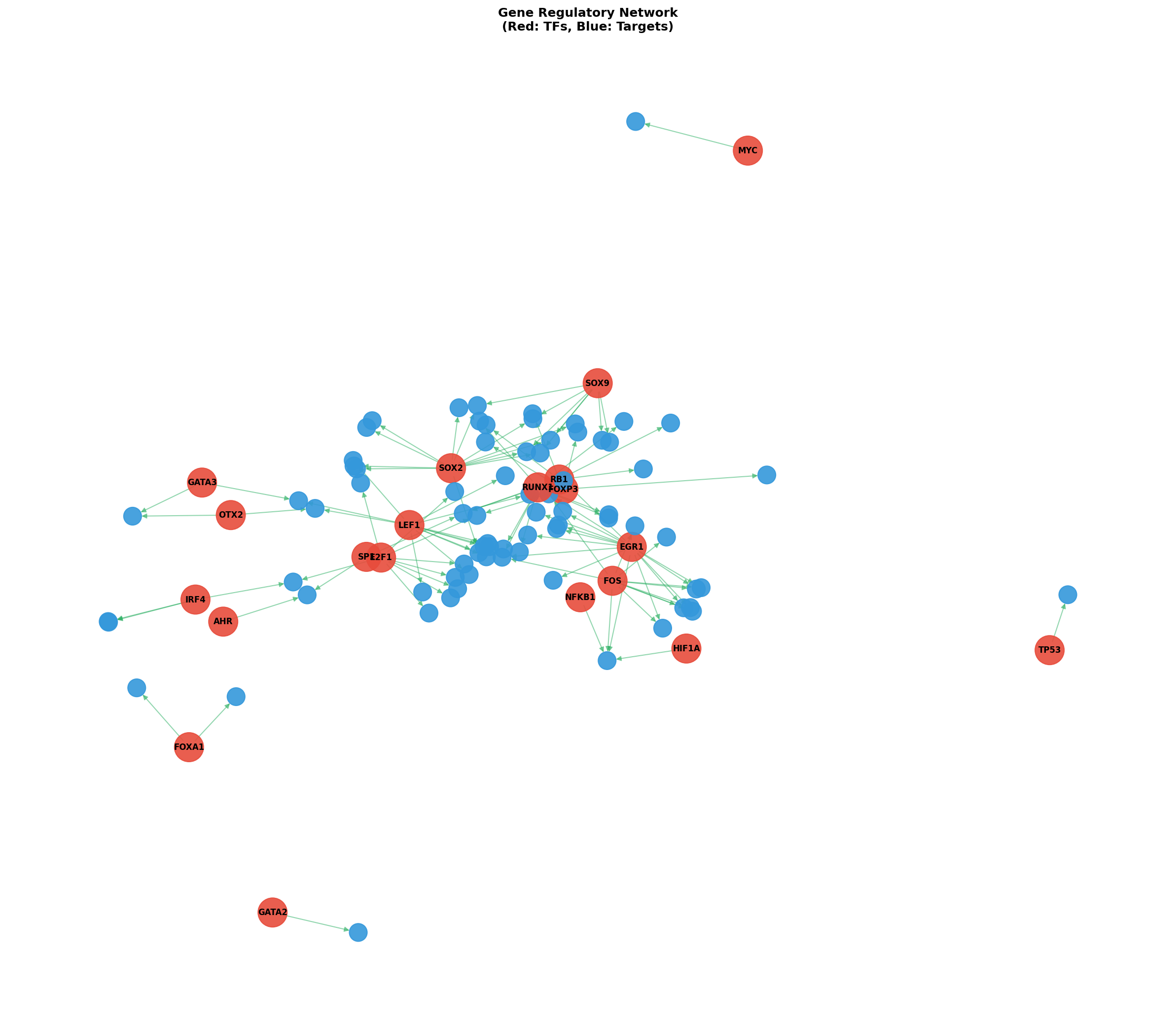 Exploratory TF-Target Association Network