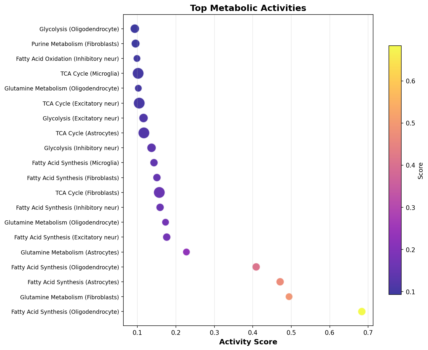 Top Metabolic Activities
