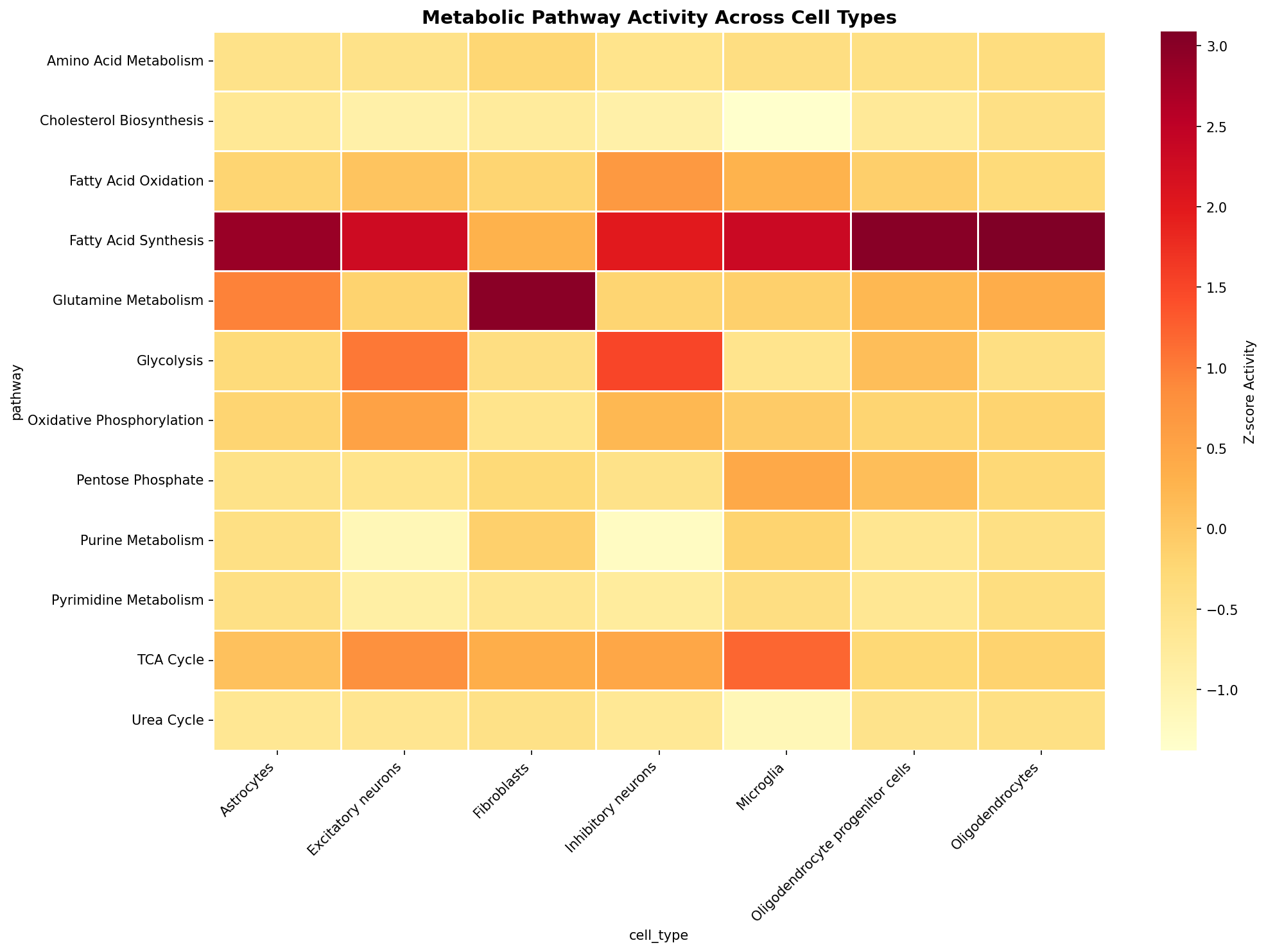 Metabolic Pathway Heatmap