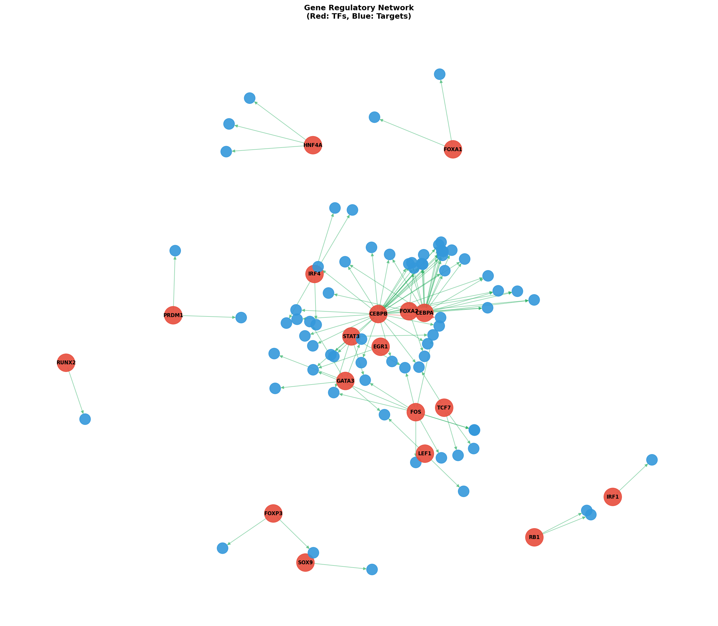 Exploratory TF-Target Association Network