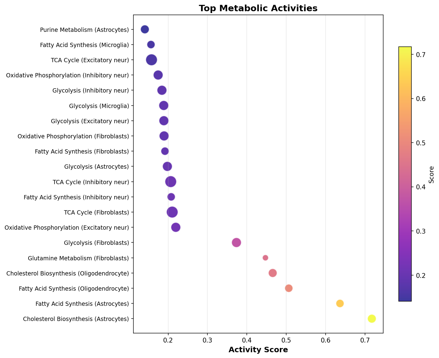 Top Metabolic Activities