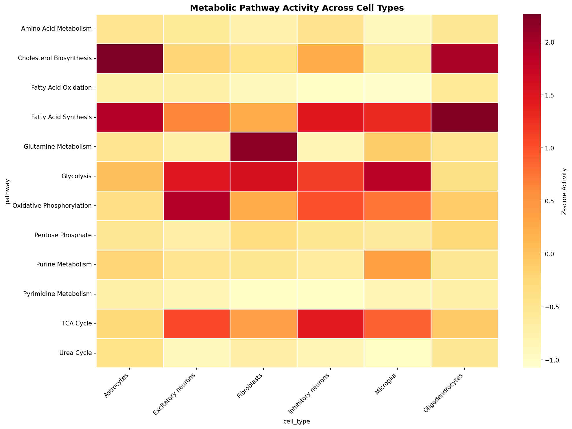 Metabolic Pathway Heatmap