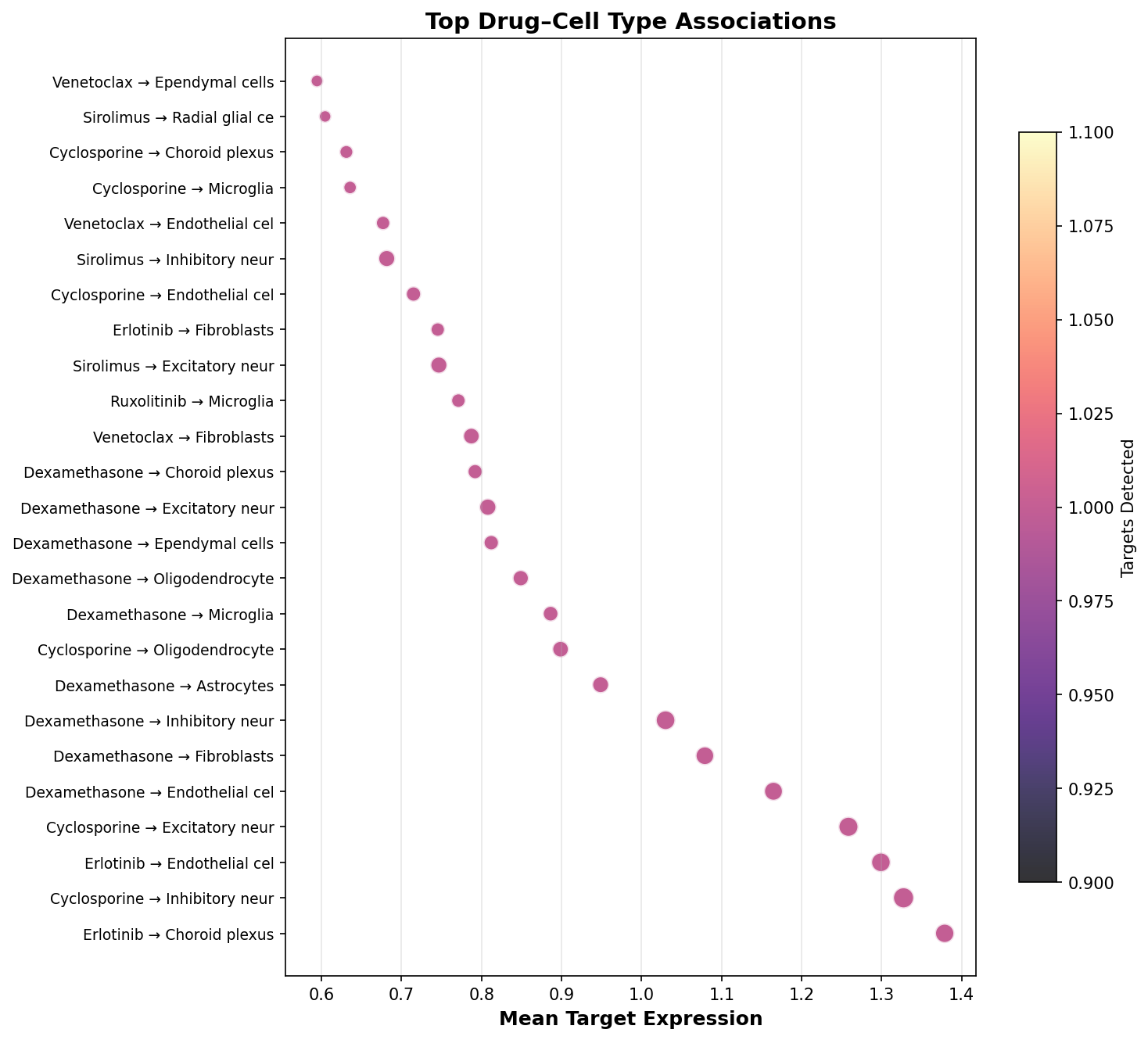 Top Drug–Cell Type Associations