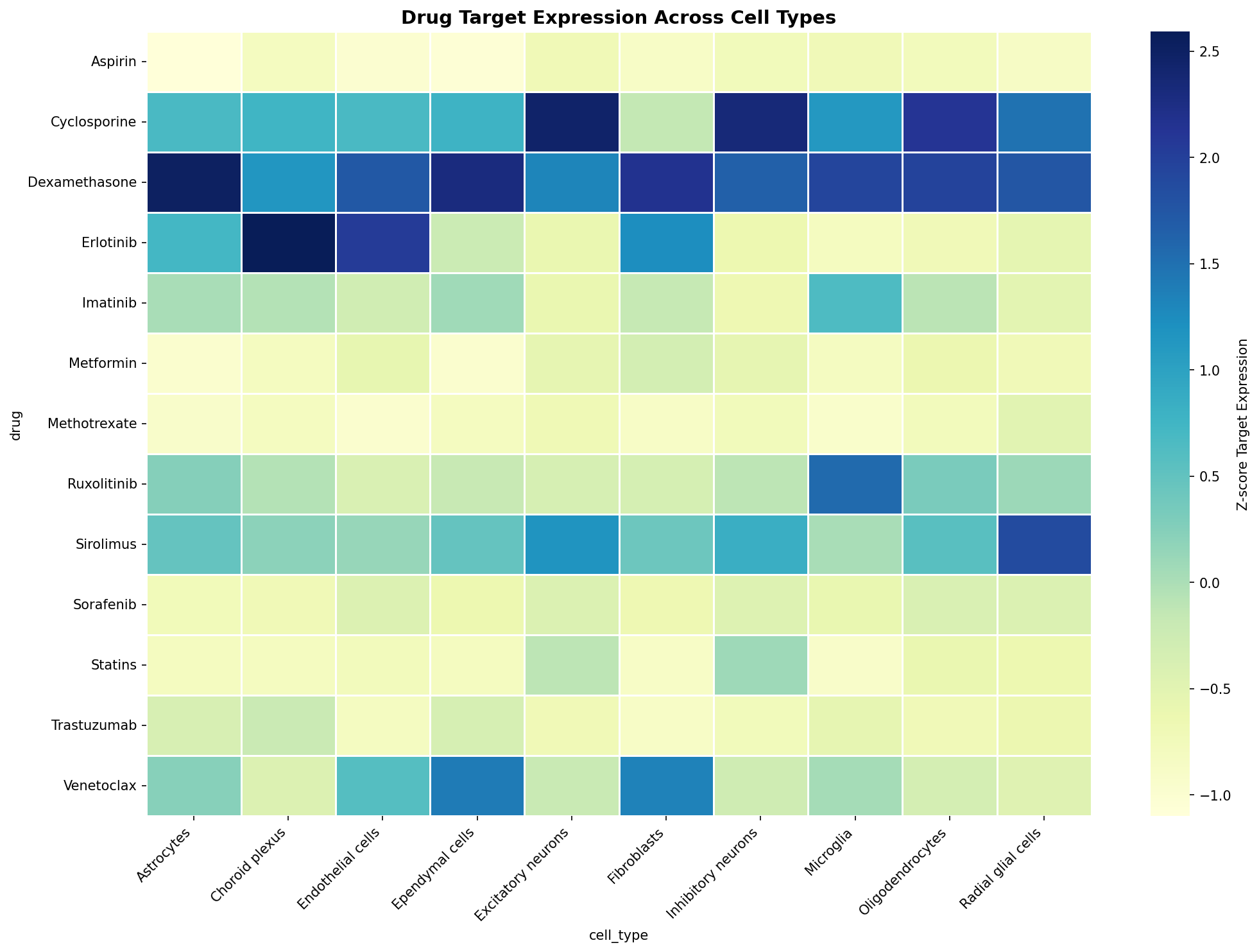 Drug Target Expression Heatmap