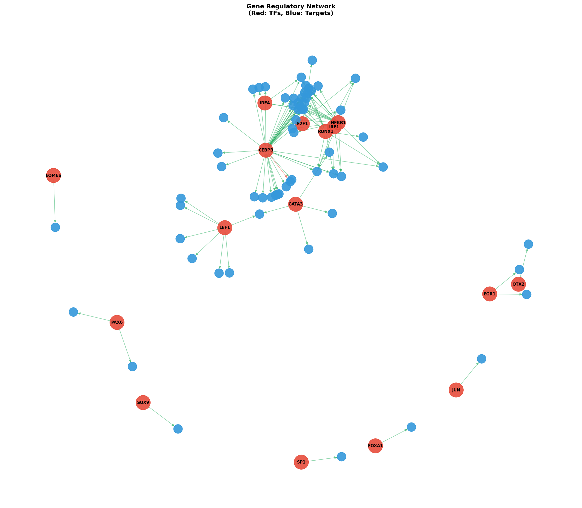 Exploratory TF-Target Association Network