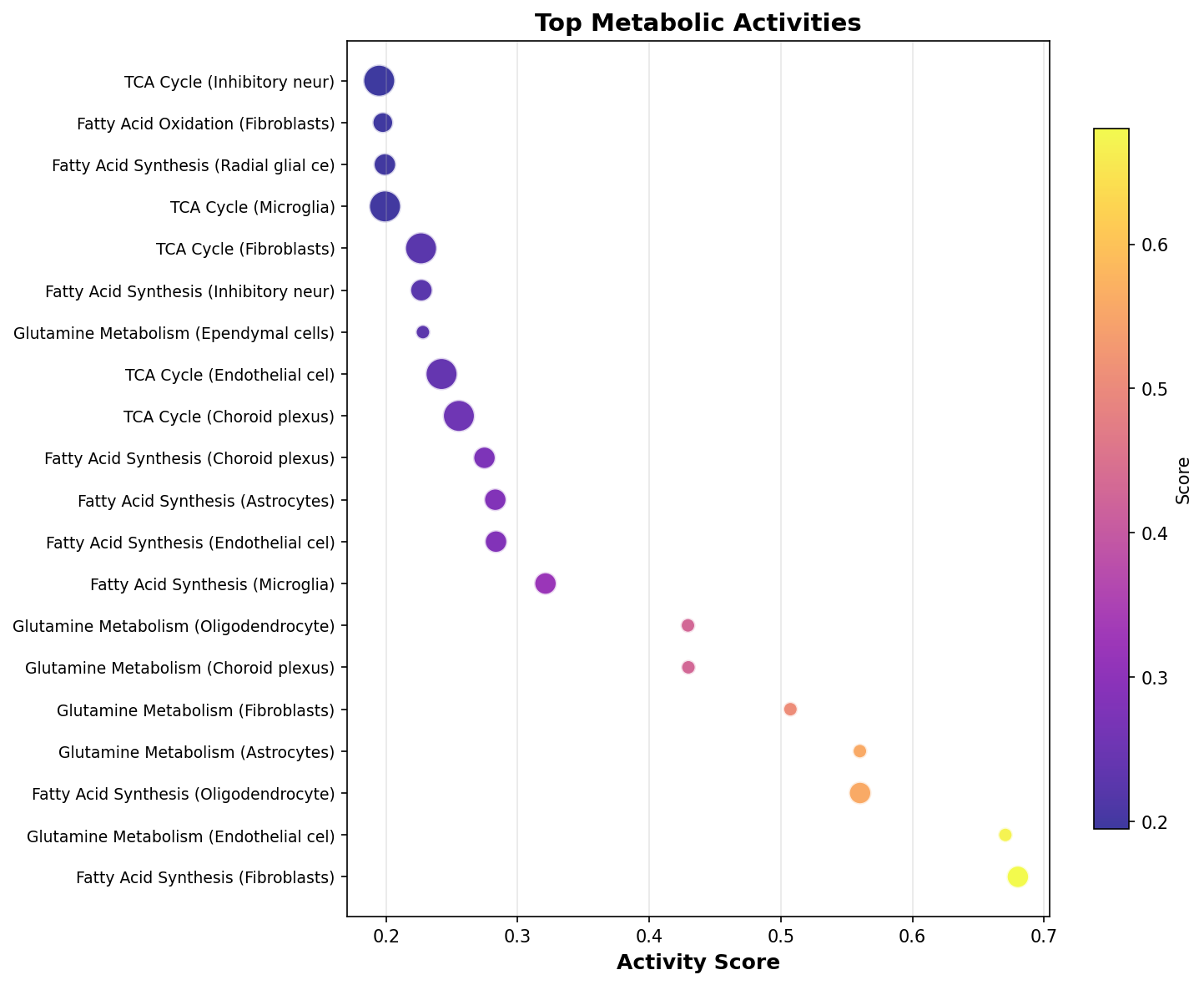 Top Metabolic Activities